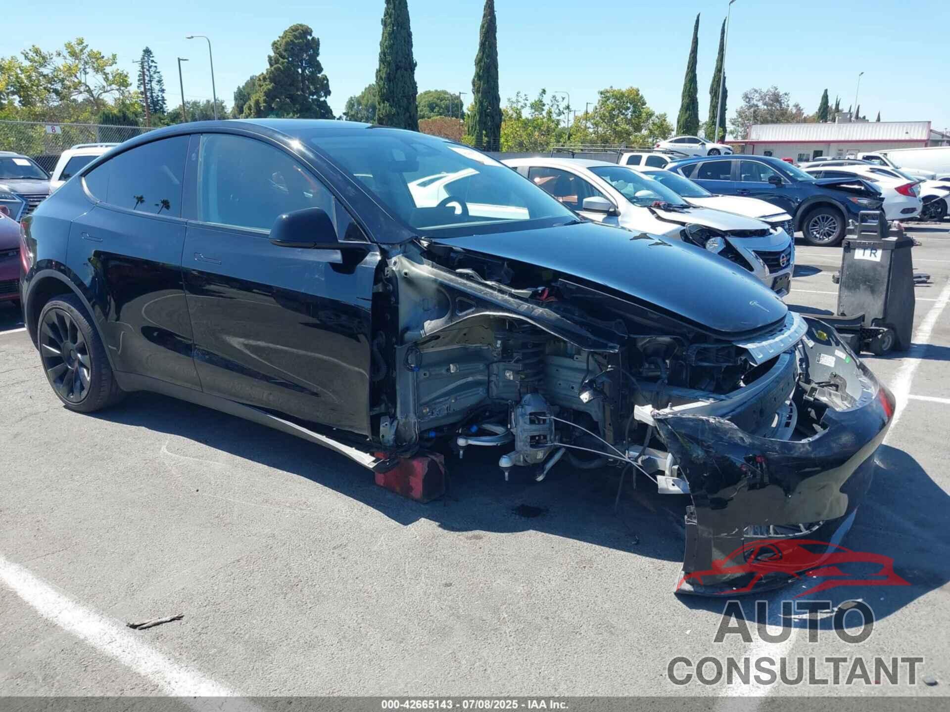 TESLA MODEL Y 2023 - 7SAYGDEE9PF906589