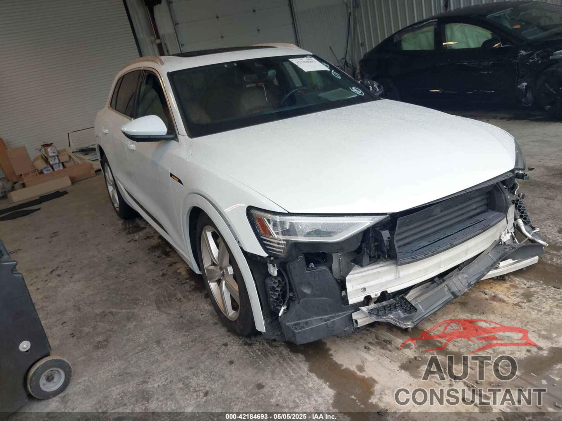 AUDI E-TRON 2019 - WA1LAAGE4KB023803