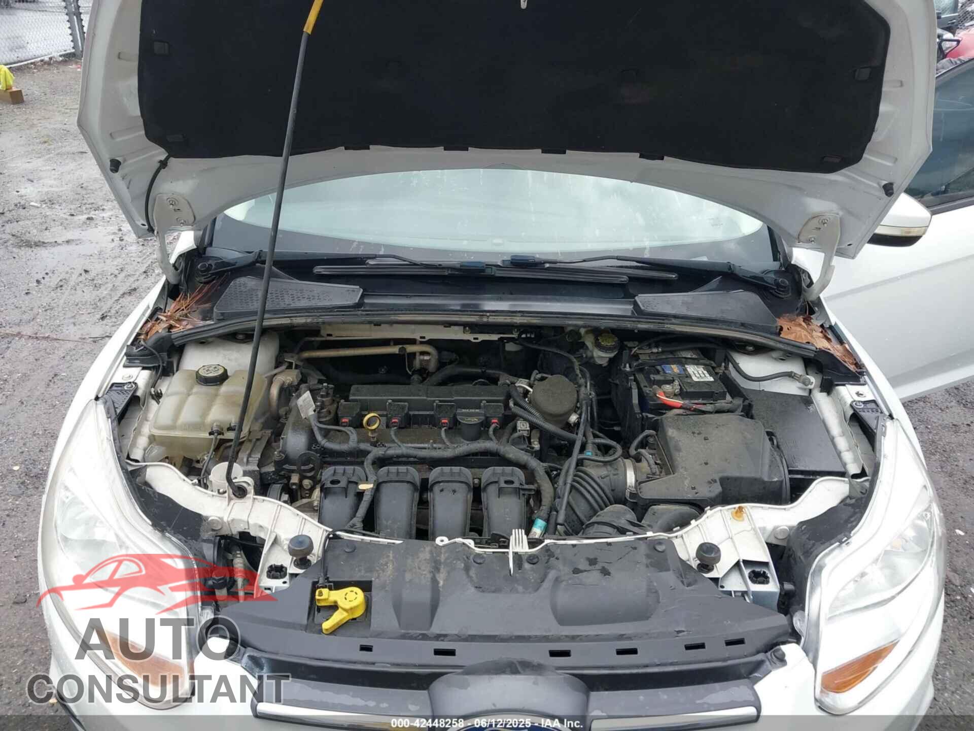 FORD FOCUS 2013 - 1FADP3F23DL297055