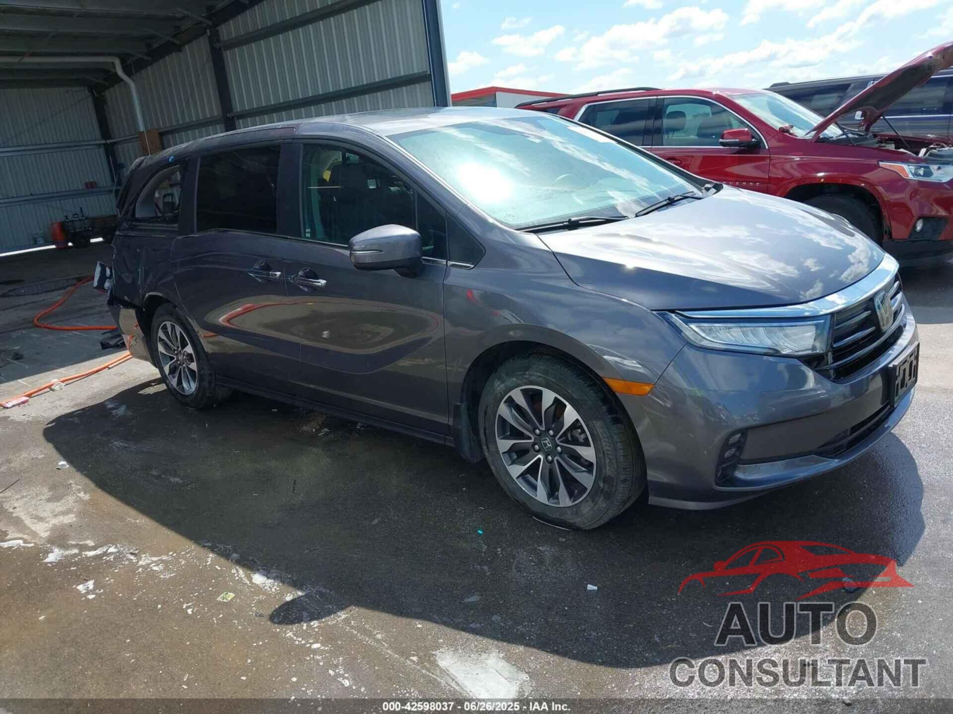 HONDA ODYSSEY 2024 - 5FNRL6H64RB064048
