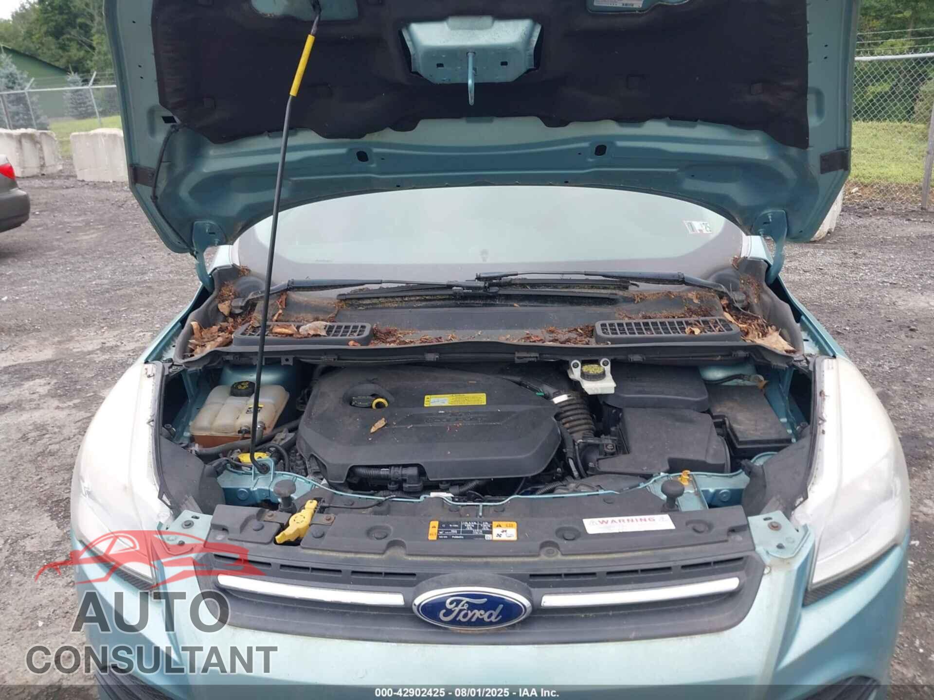 FORD ESCAPE 2013 - 1FMCU9GX2DUC41058