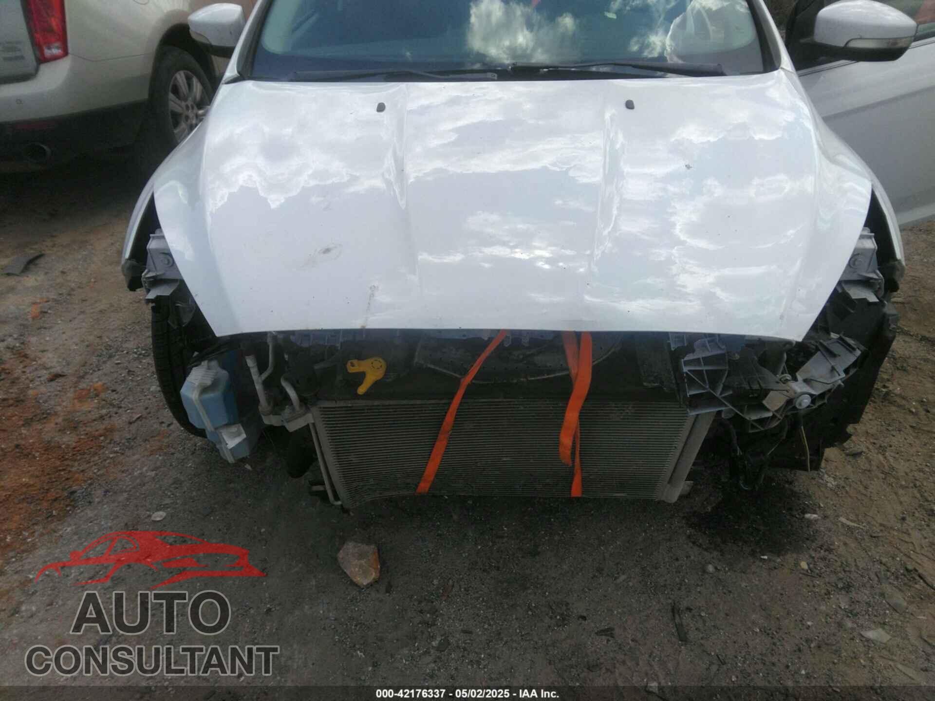 FORD FOCUS 2016 - 1FADP3F29GL296898