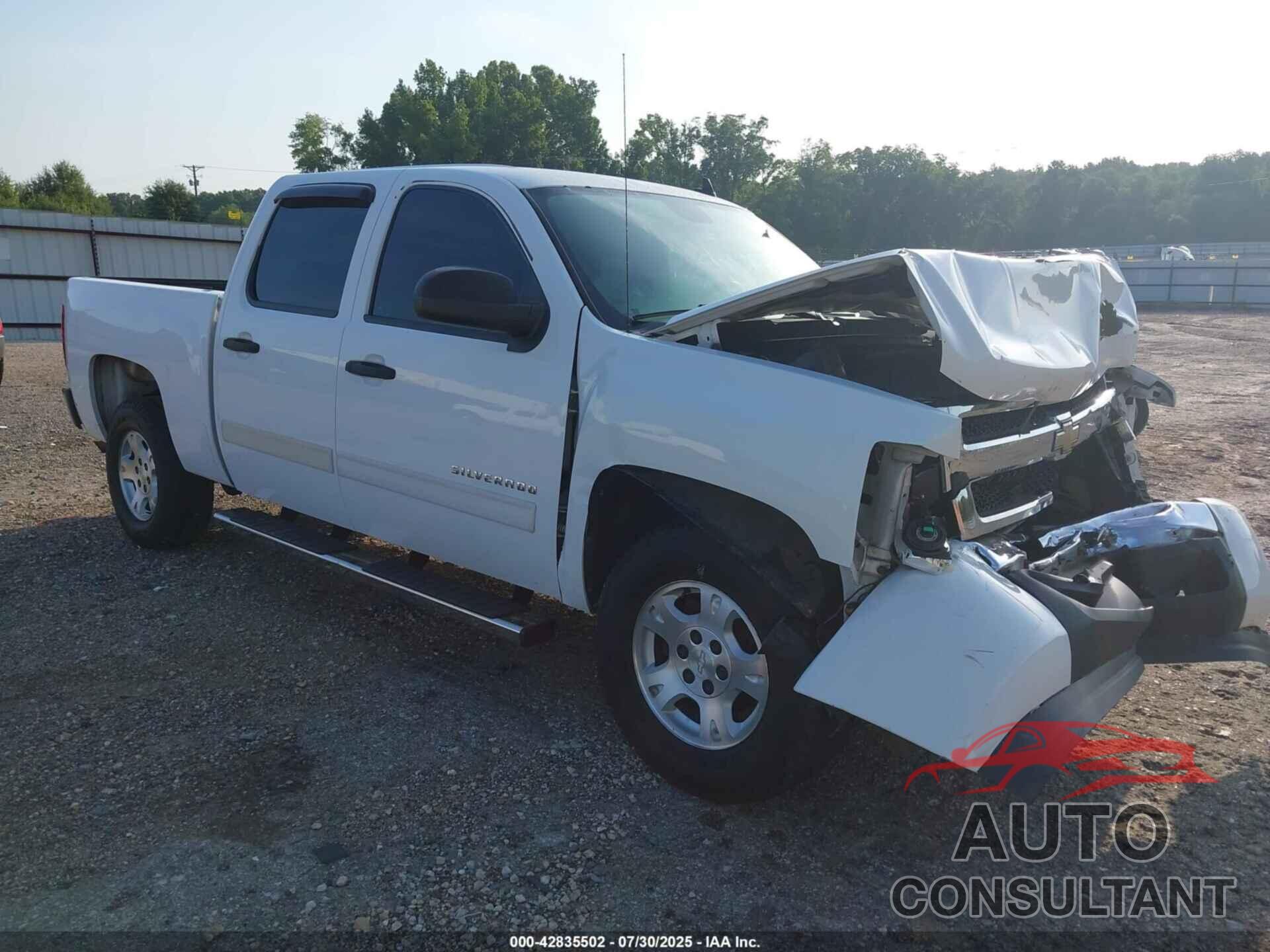 CHEVROLET SILVERADO 1500 2010 - 3GCRCREA9AG265226
