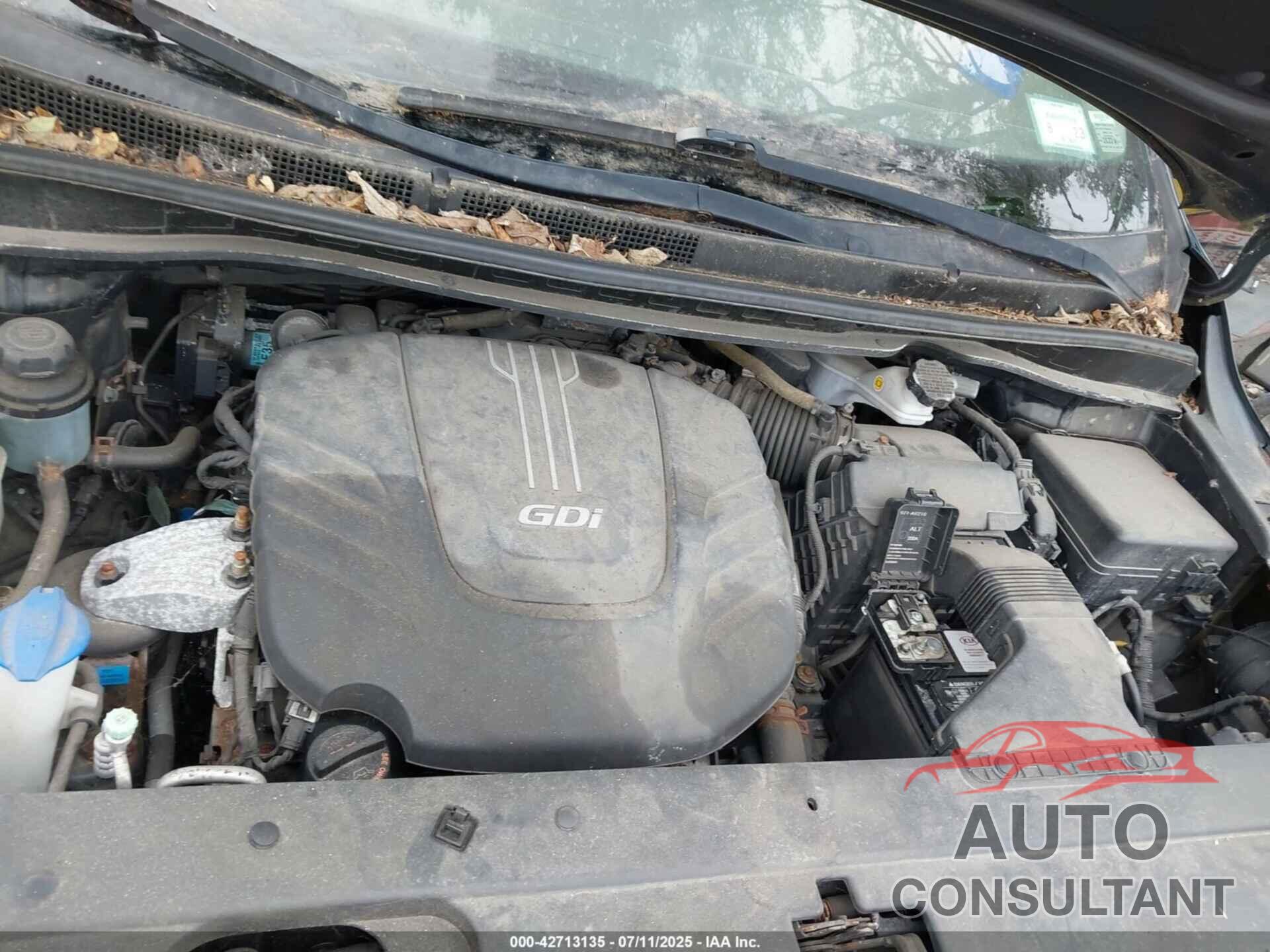 KIA SEDONA 2016 - KNDMC5C14G6113631