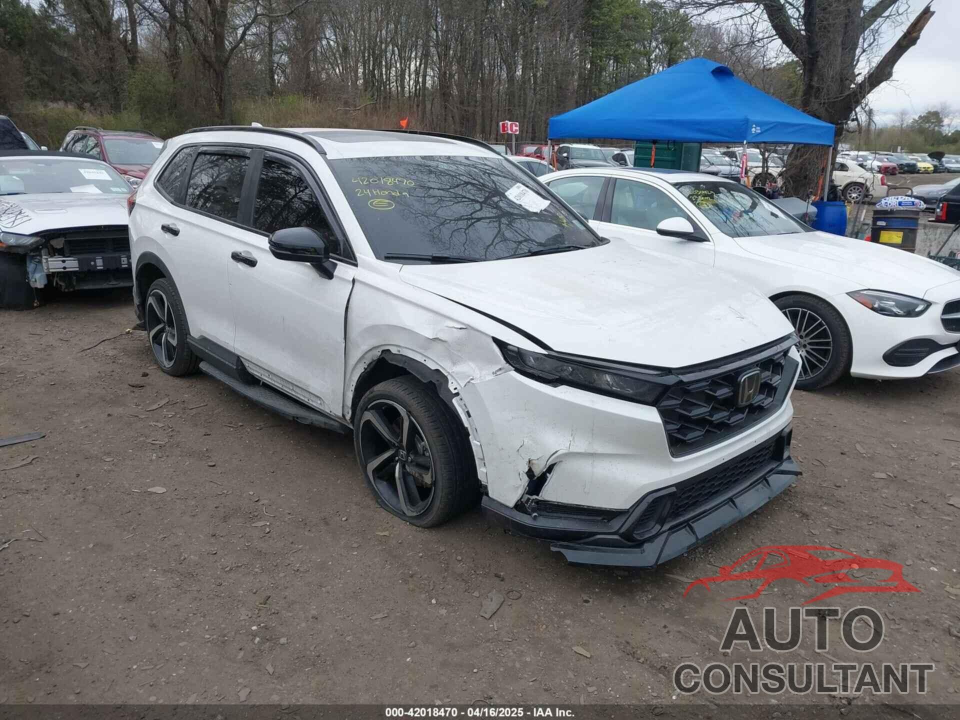 HONDA CR-V 2024 - 5J6RS6H81RL027440