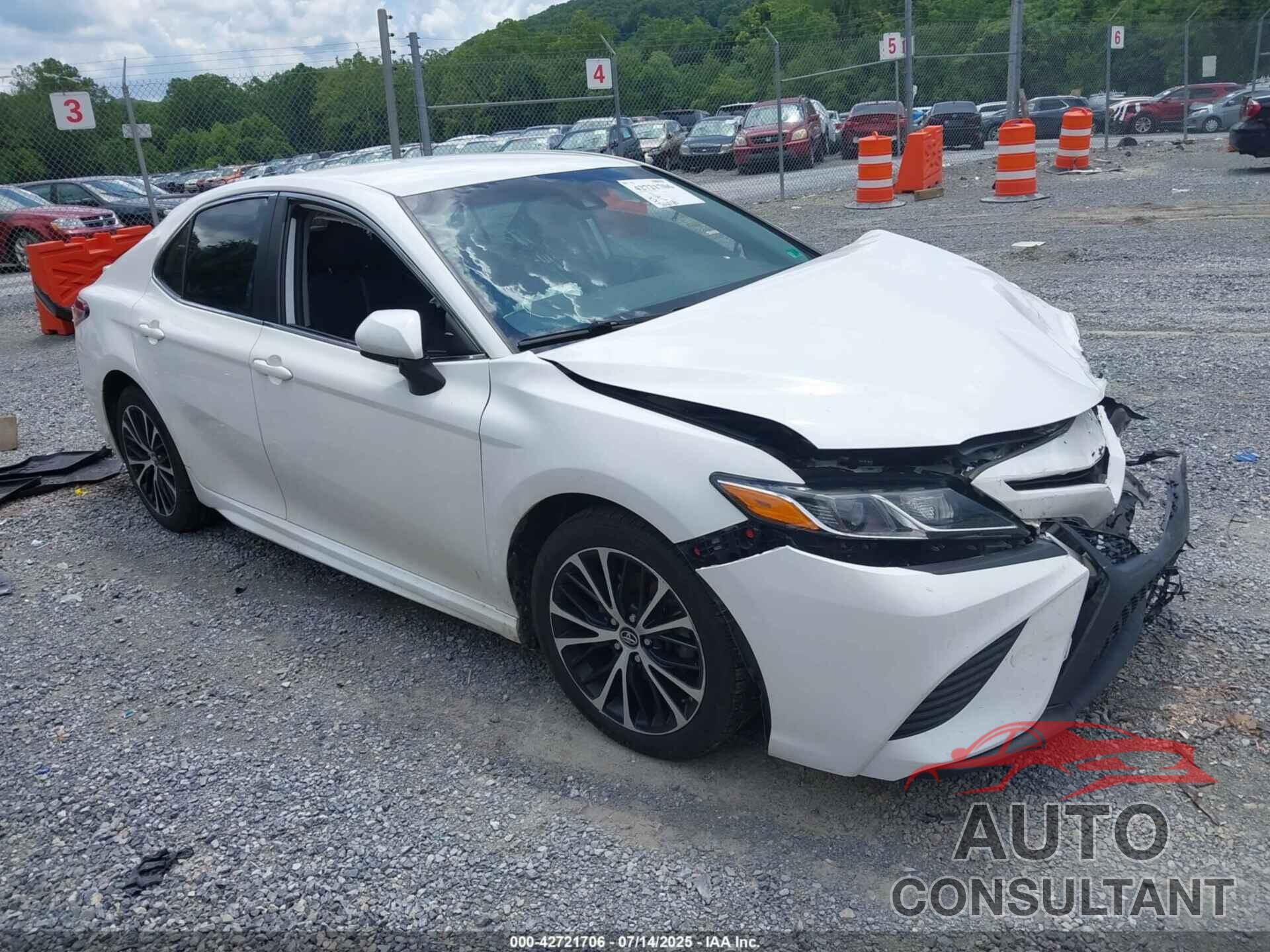 TOYOTA CAMRY 2019 - 4T1B11HK3KU759797