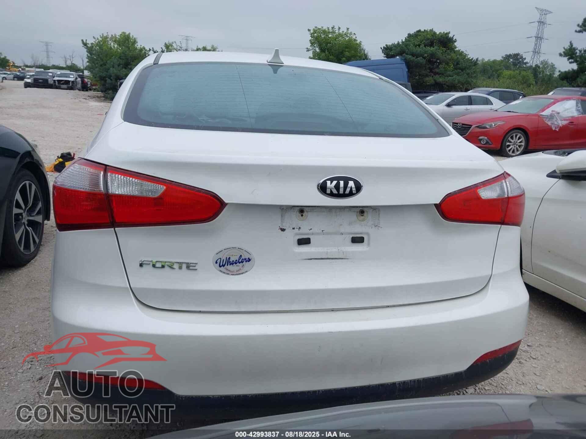 KIA FORTE 2015 - KNAFX4A67F5437292