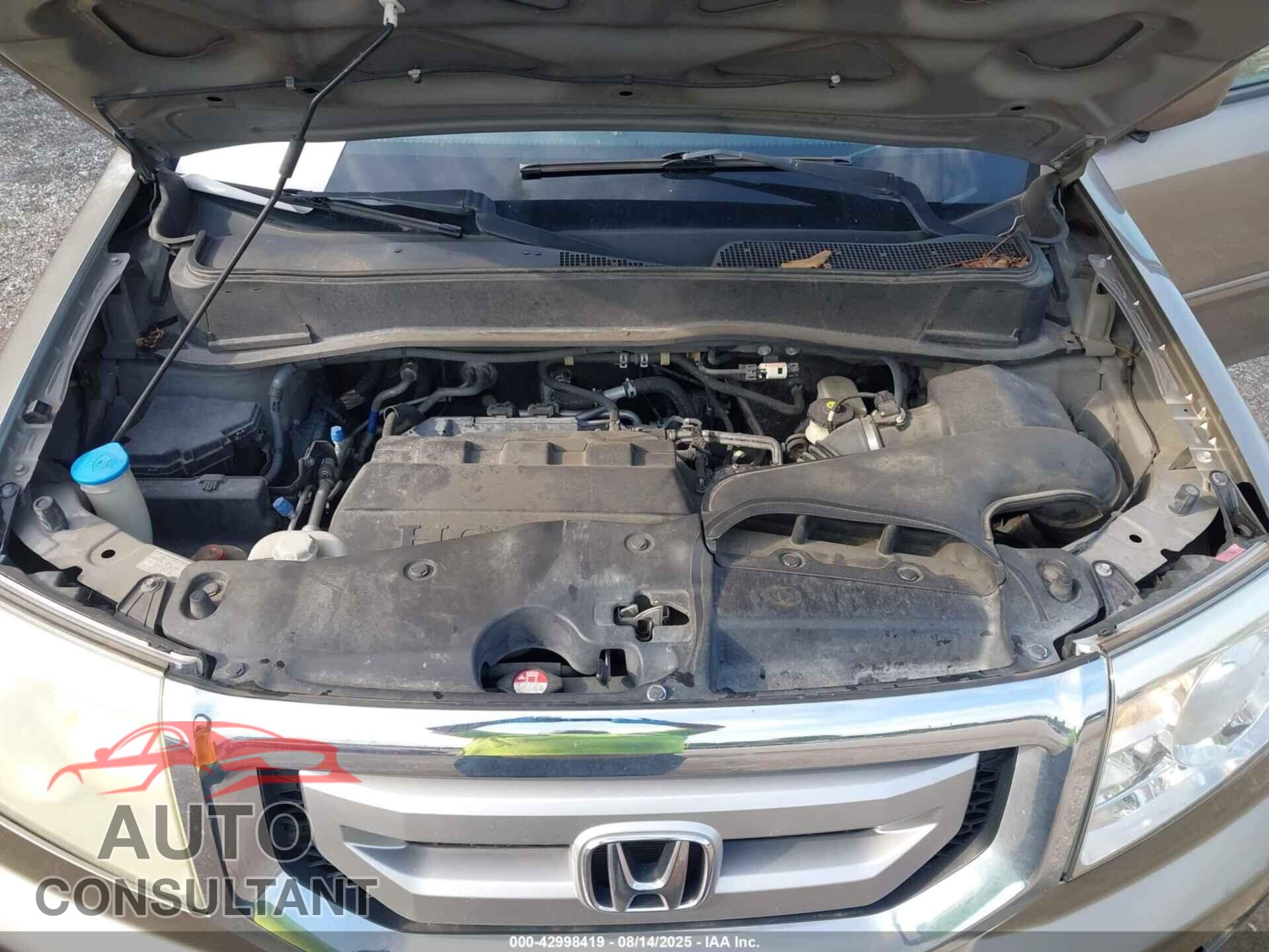 HONDA PILOT 2011 - 5FNYF3H56BB022012