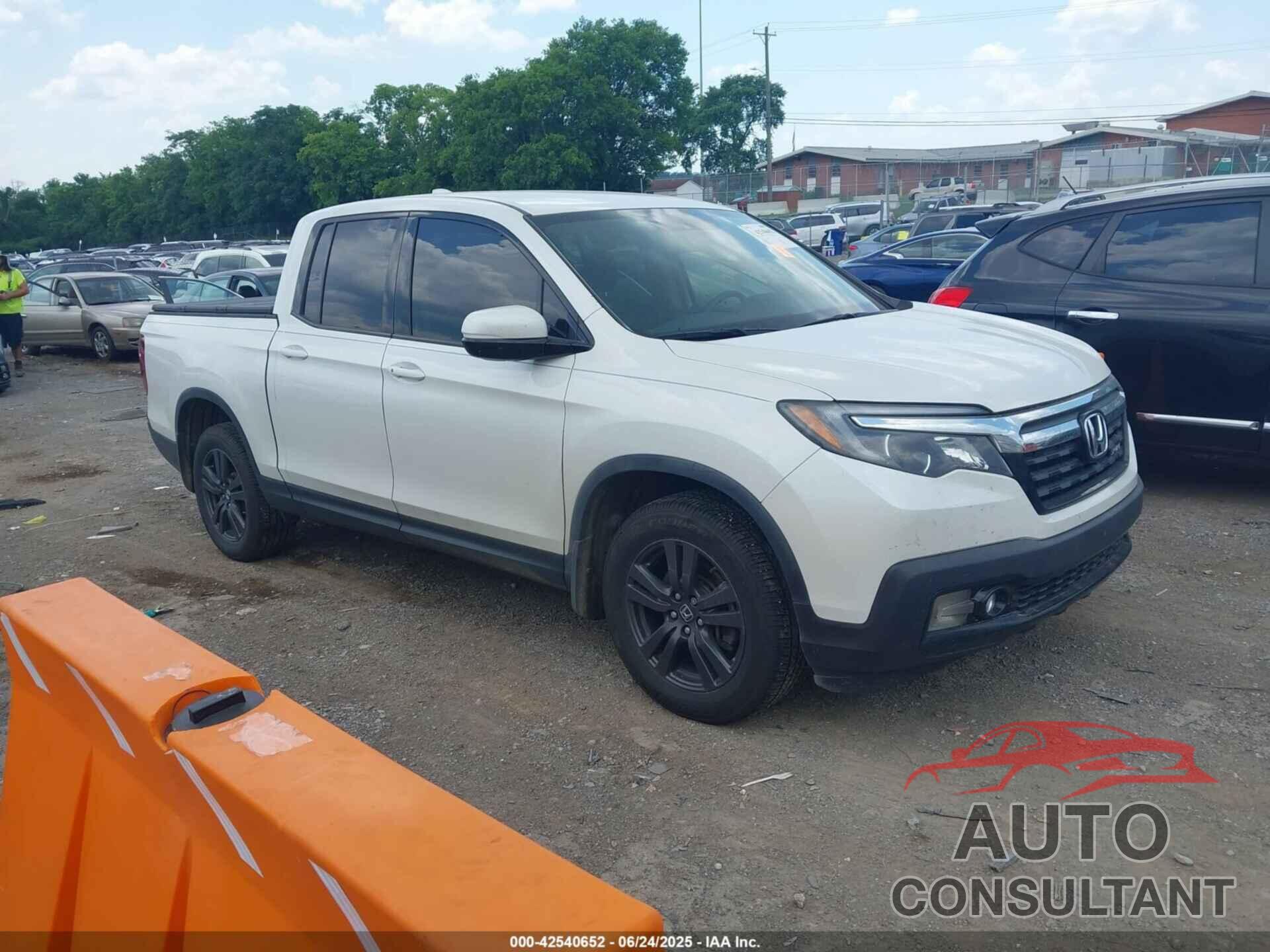 HONDA RIDGELINE 2019 - 5FPYK3F14KB047008