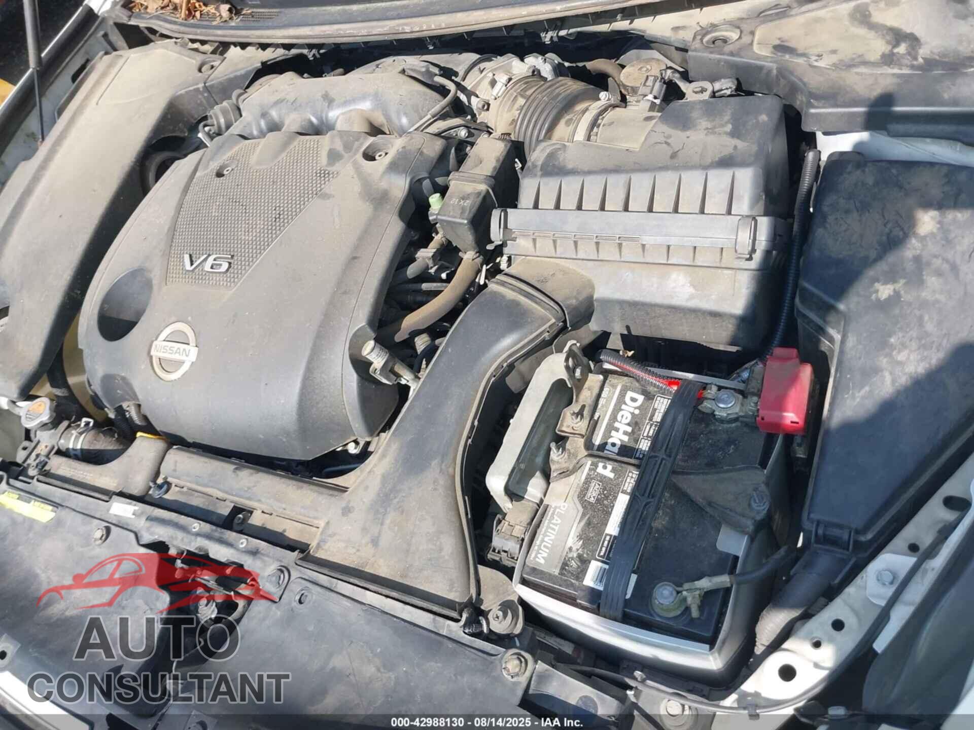 NISSAN MAXIMA 2013 - 1N4AA5AP1DC838557