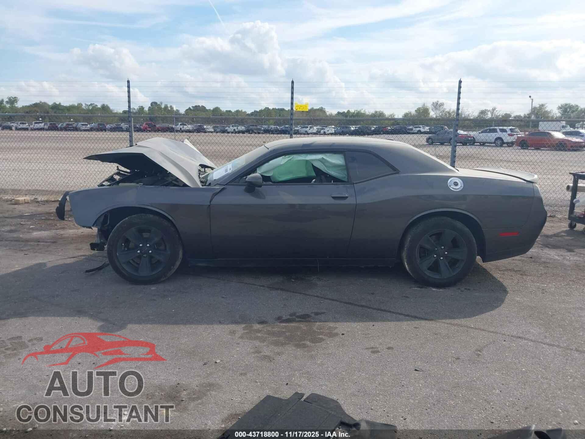 DODGE CHALLENGER 2019 - 2C3CDZAG4KH620399
