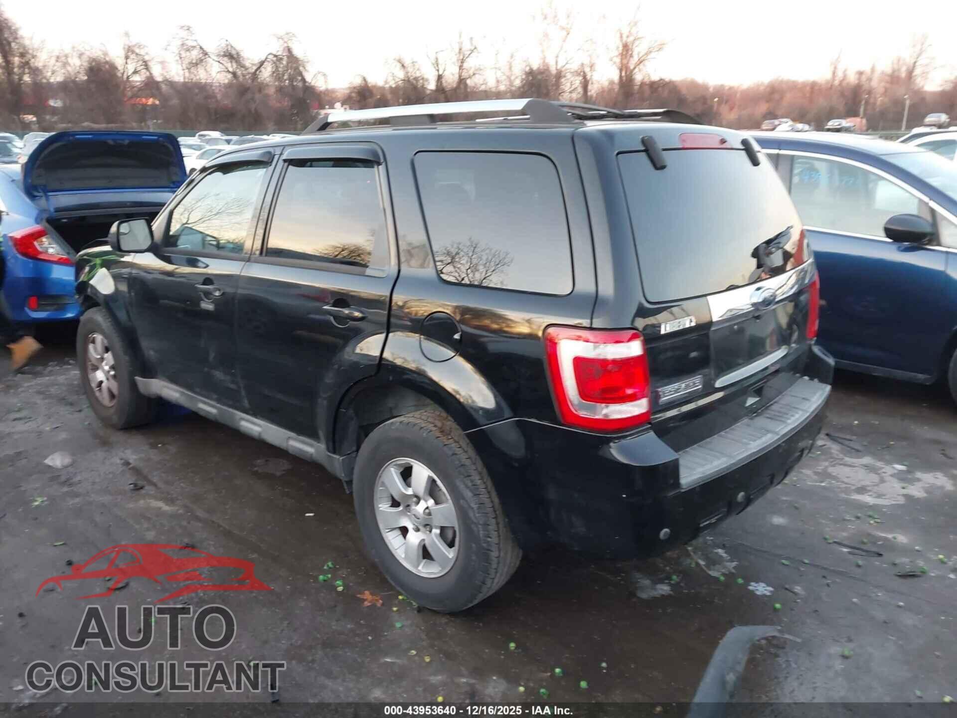 FORD ESCAPE 2010 - 1FMCU9E75AKC21753