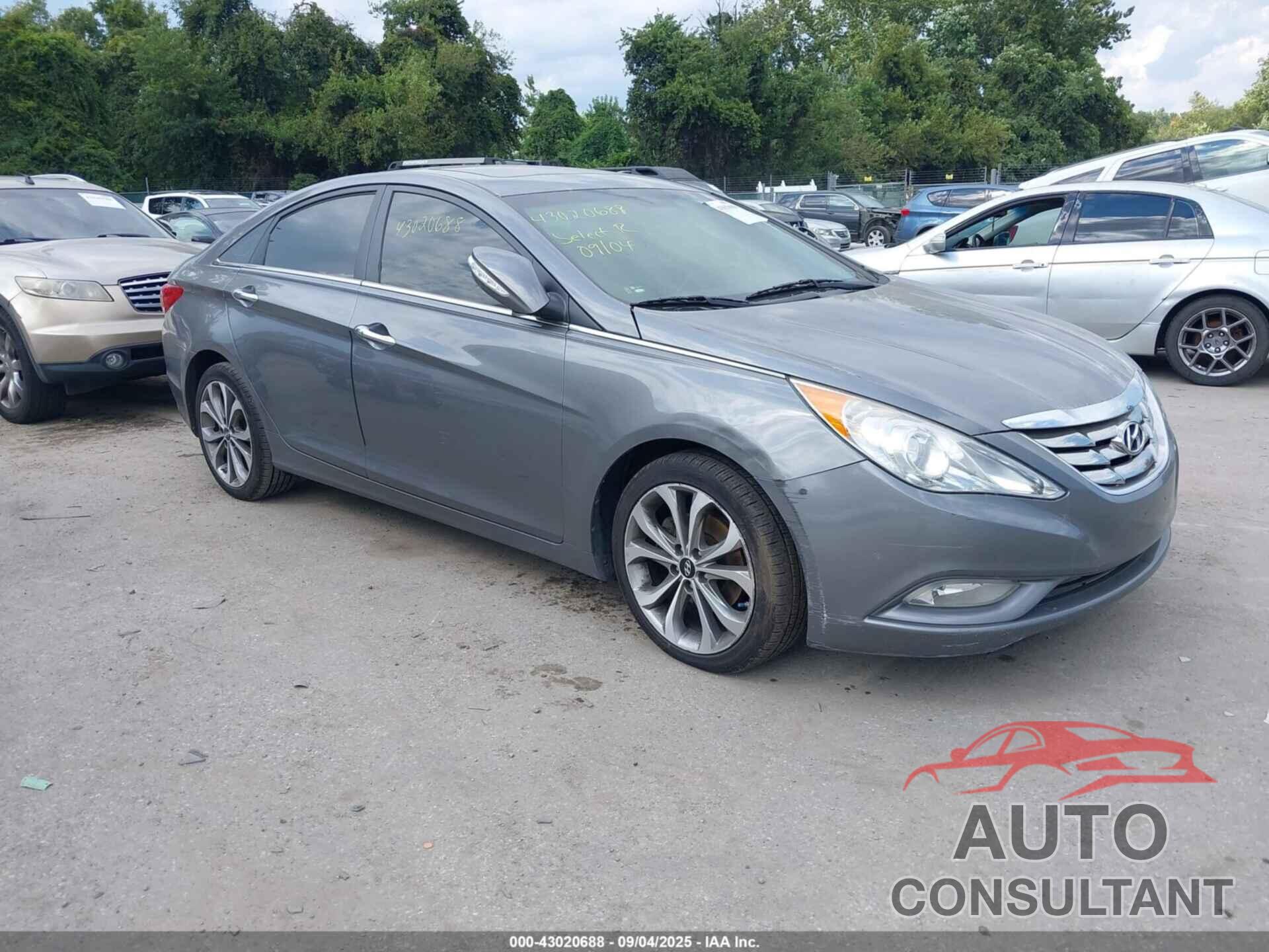 HYUNDAI SONATA 2013 - 5NPEC4AB4DH699579