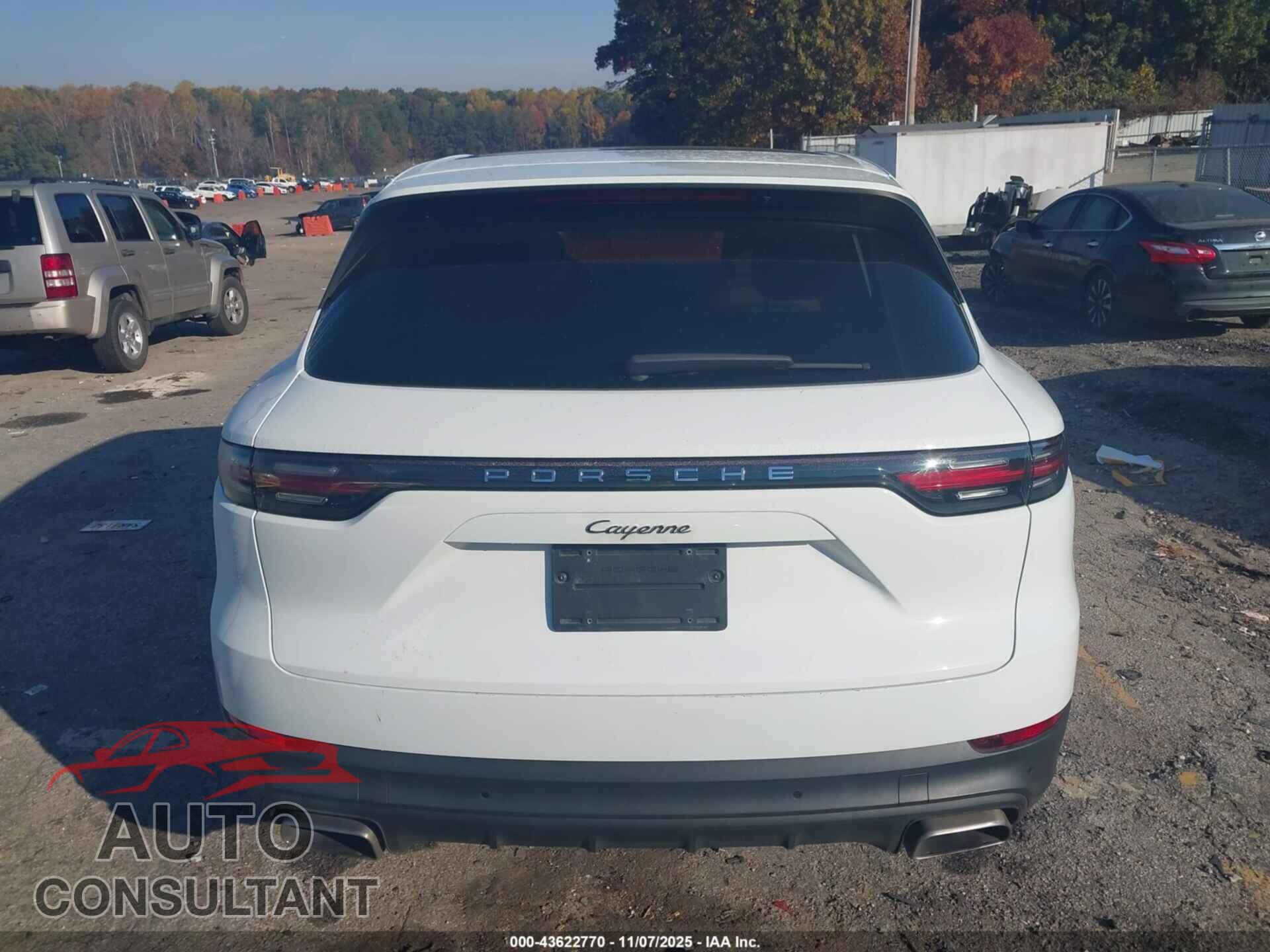 PORSCHE CAYENNE 2019 - WP1AA2AY1KDA09687