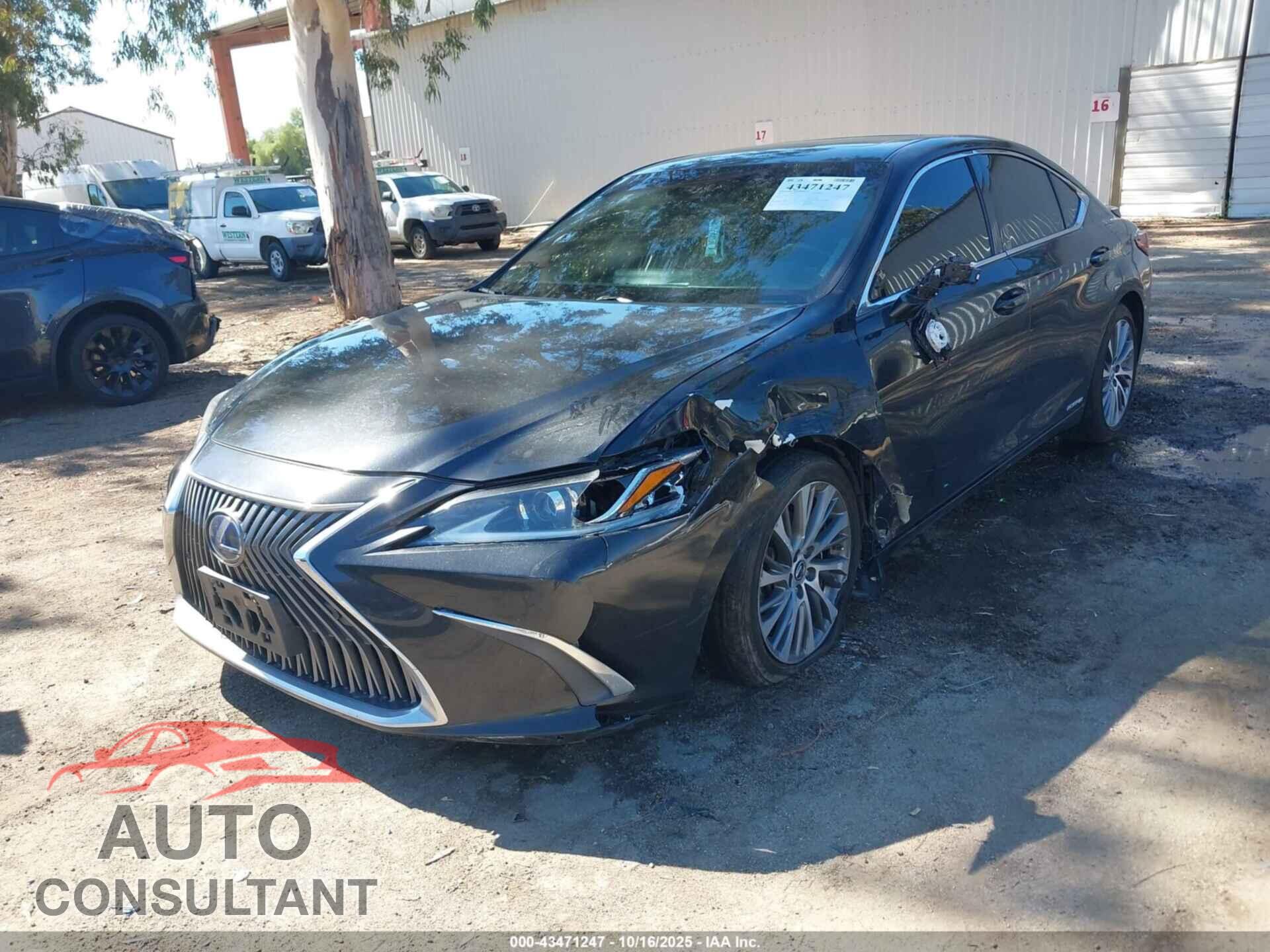 LEXUS ES 300H 2021 - 58ADA1C19MU001465