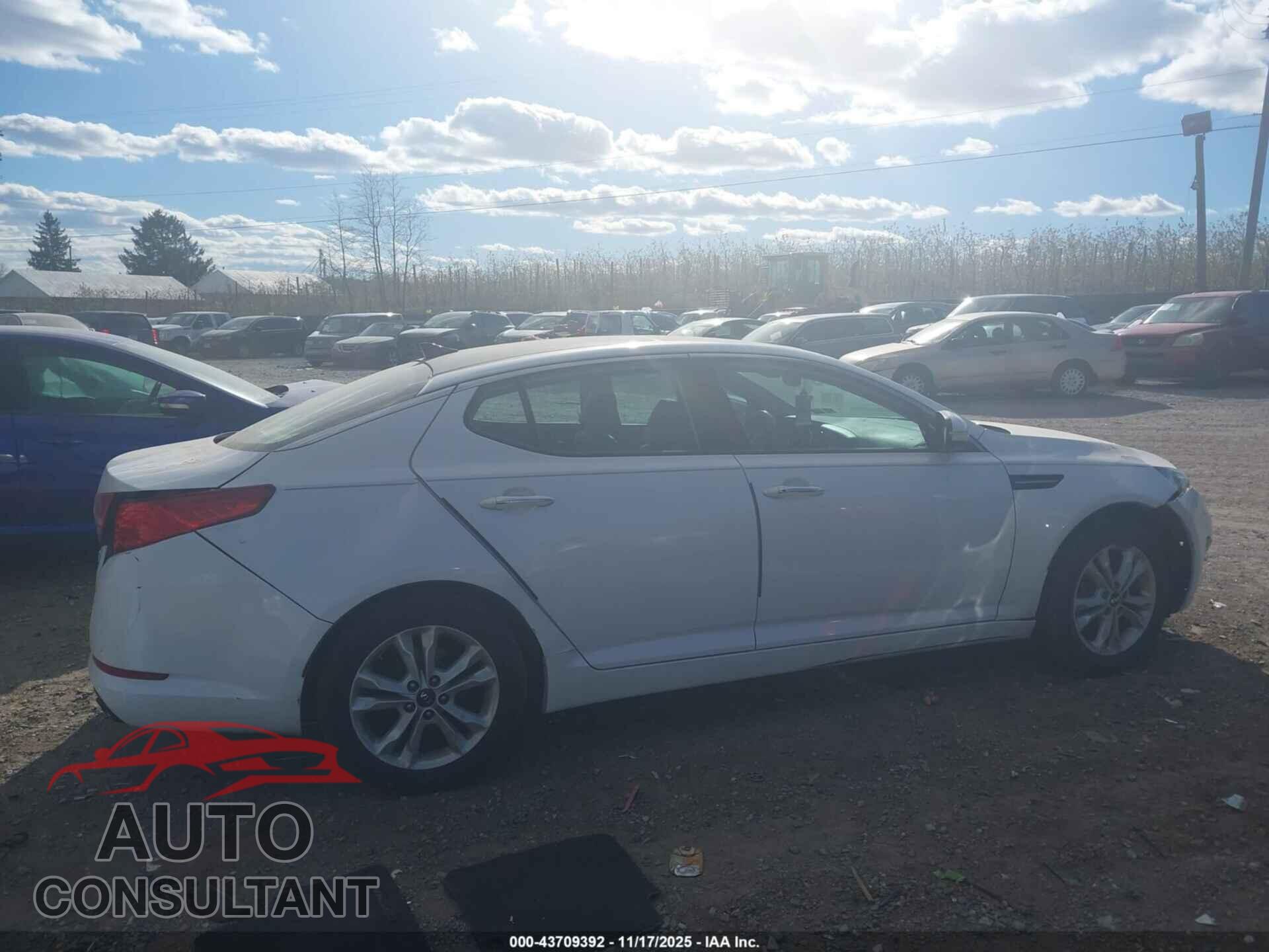 KIA OPTIMA 2011 - KNAGN4A79B5059635