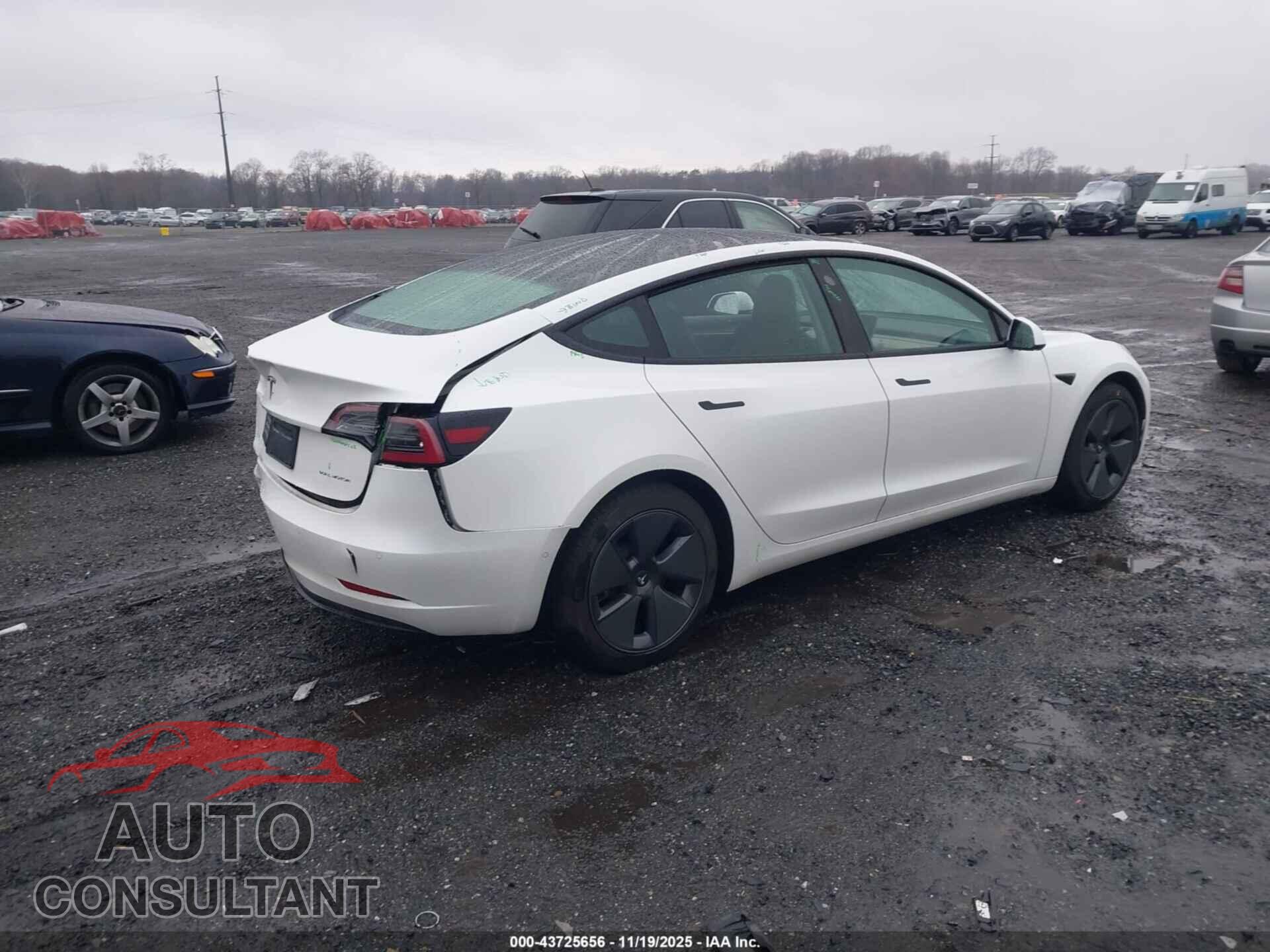 TESLA MODEL 3 2021 - 5YJ3E1EB8MF032863