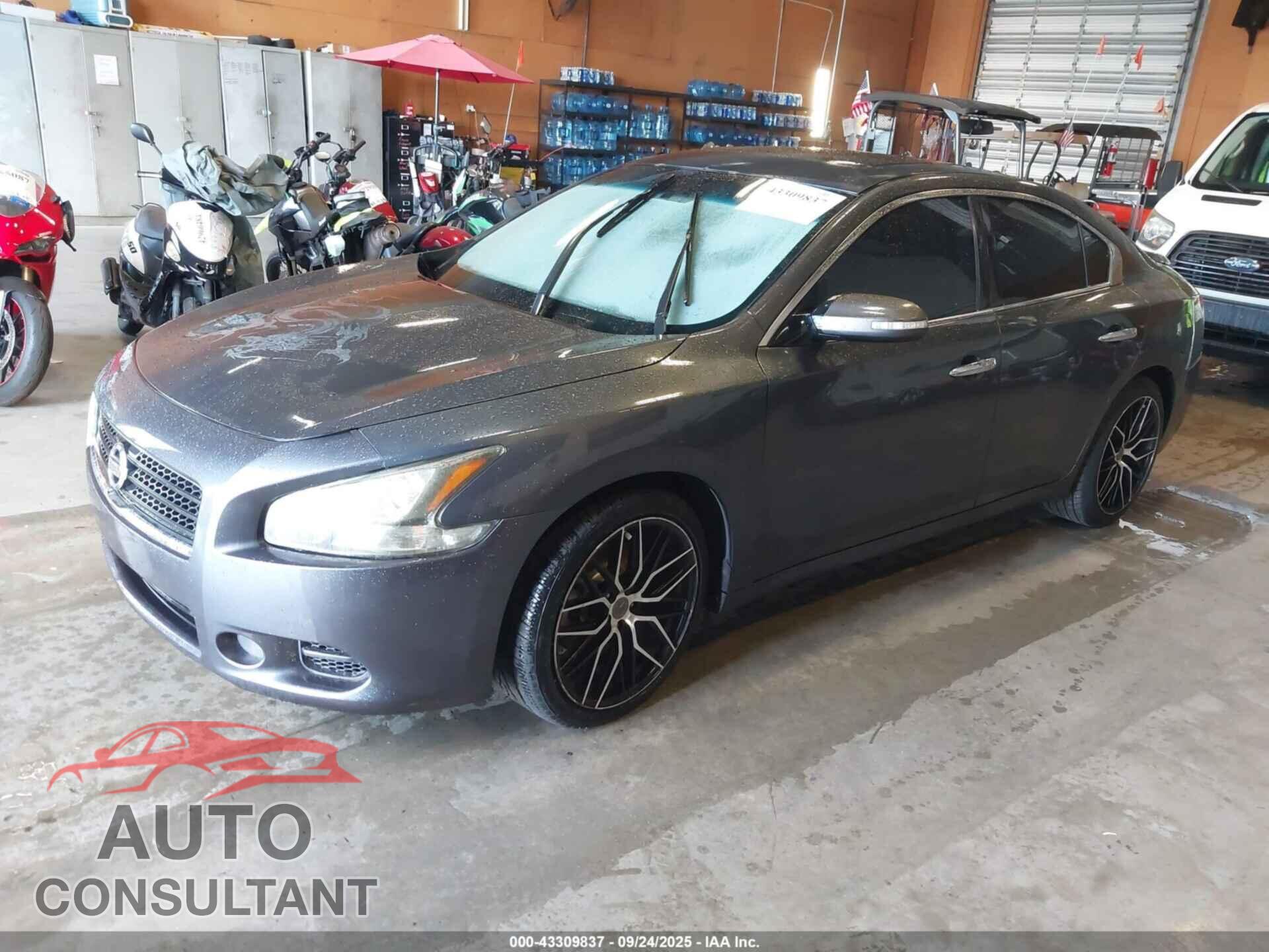 NISSAN MAXIMA 2011 - 1N4AA5AP1BC805426
