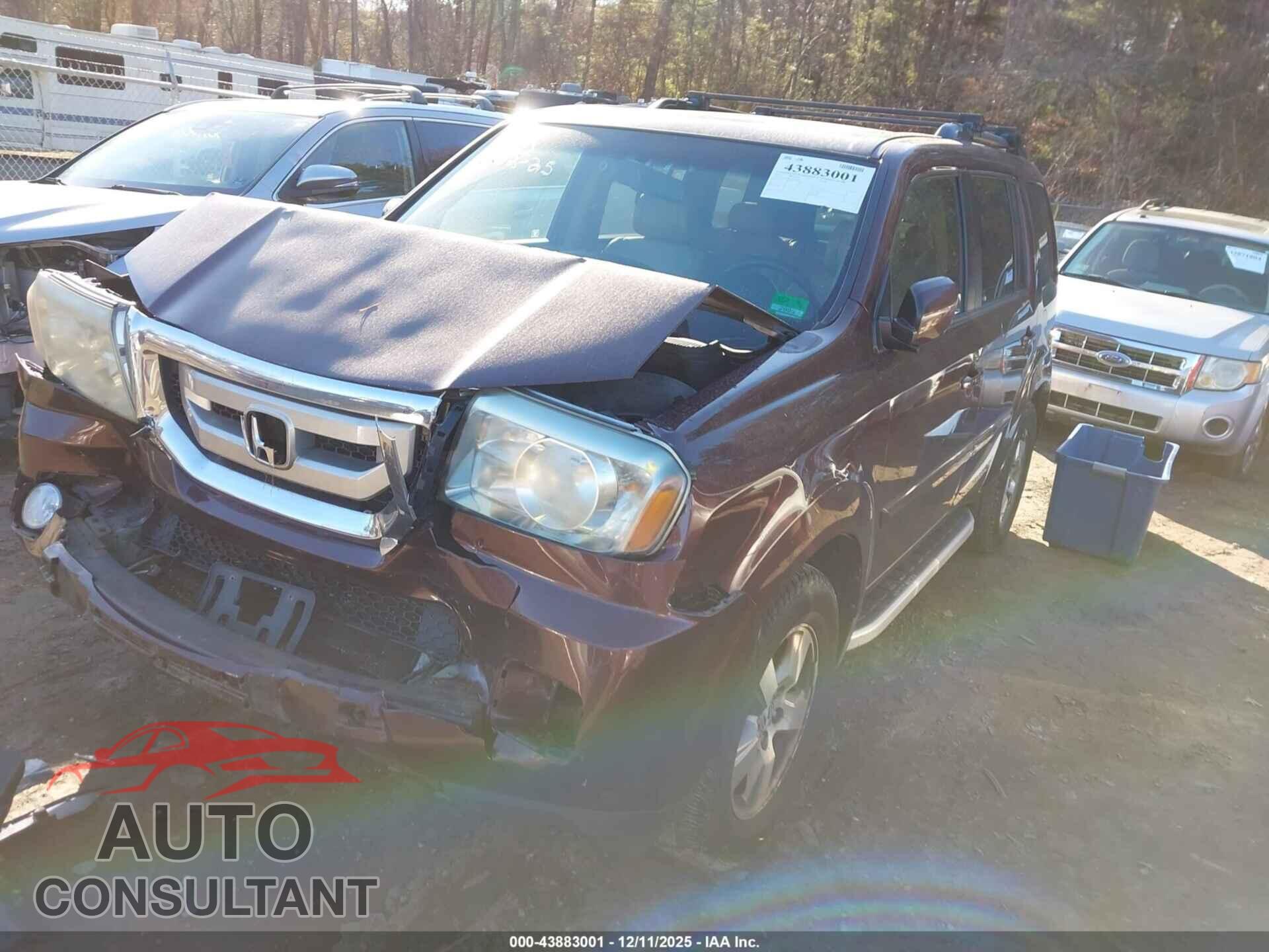 HONDA PILOT 2010 - 5FNYF4H61AB026305