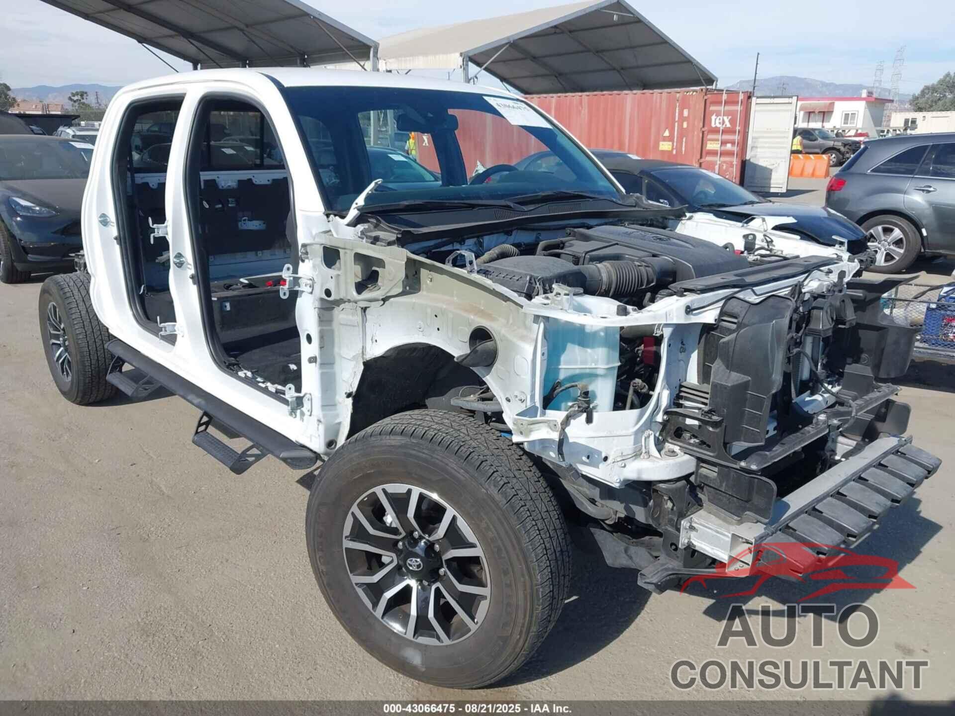 TOYOTA TACOMA 2023 - 3TMAZ5CN8PM203515