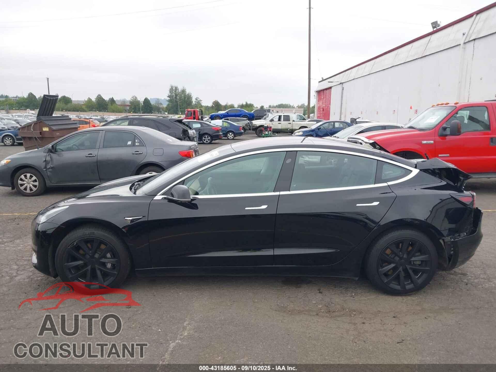 TESLA MODEL 3 2018 - 5YJ3E1EBXJF113097