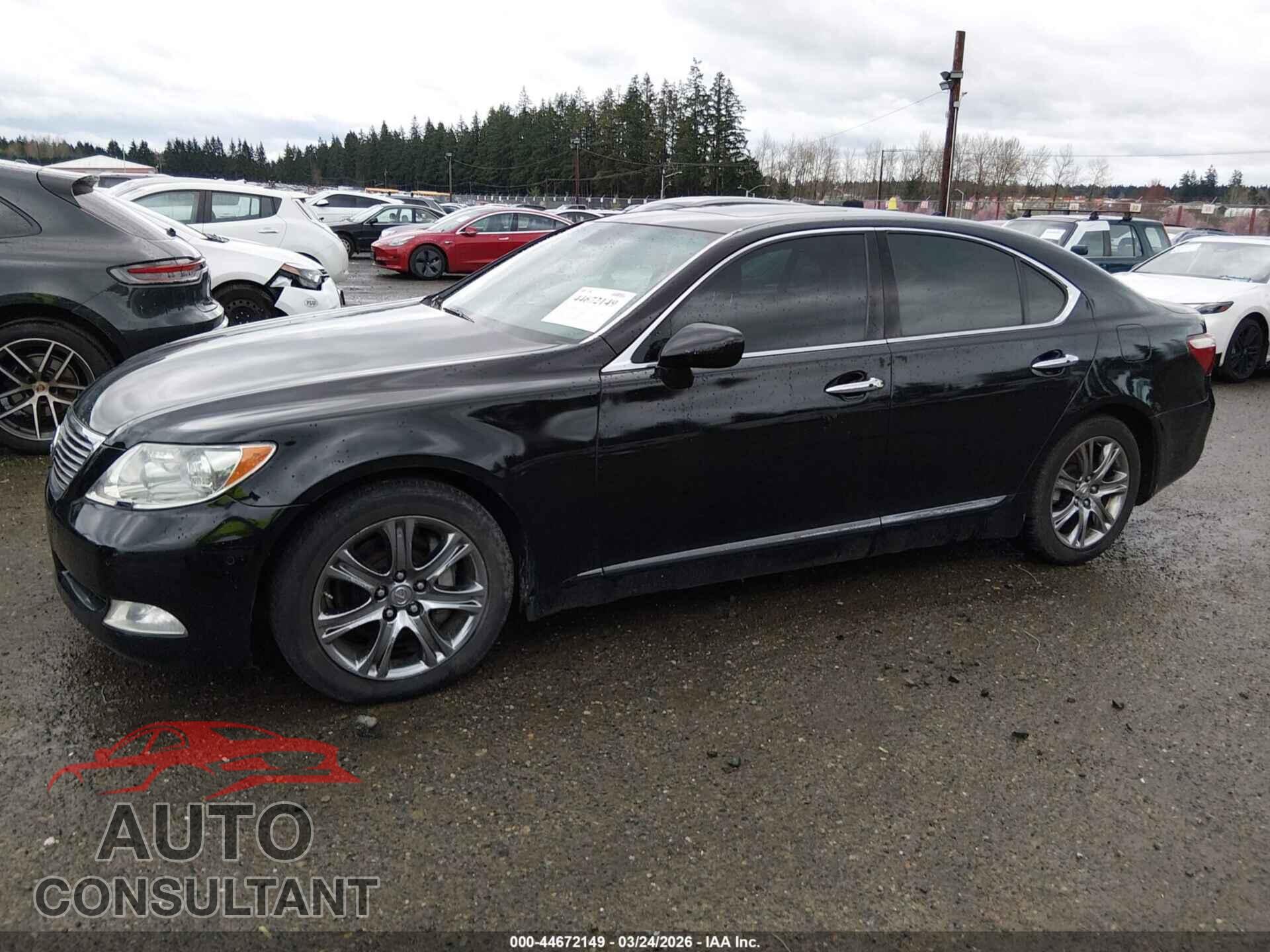 LEXUS LS 460 2009 - JTHBL46F895086689