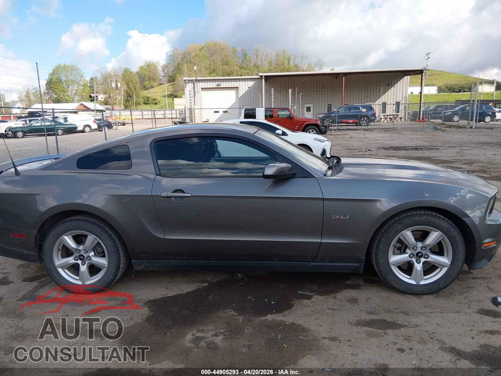 FORD MUSTANG 2011 - 1ZVBP8CF9B5151375