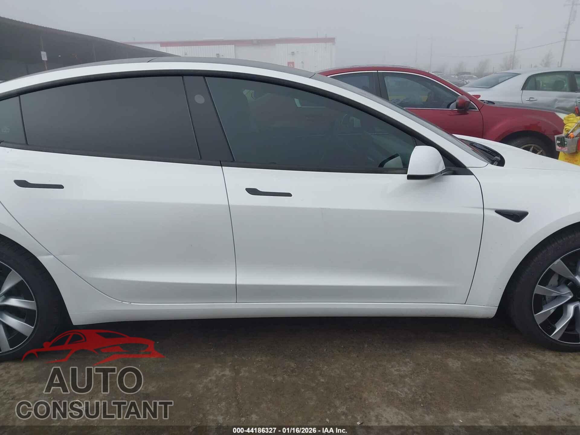 TESLA MODEL 3 2025 - 5YJ3E1EA6SF993871
