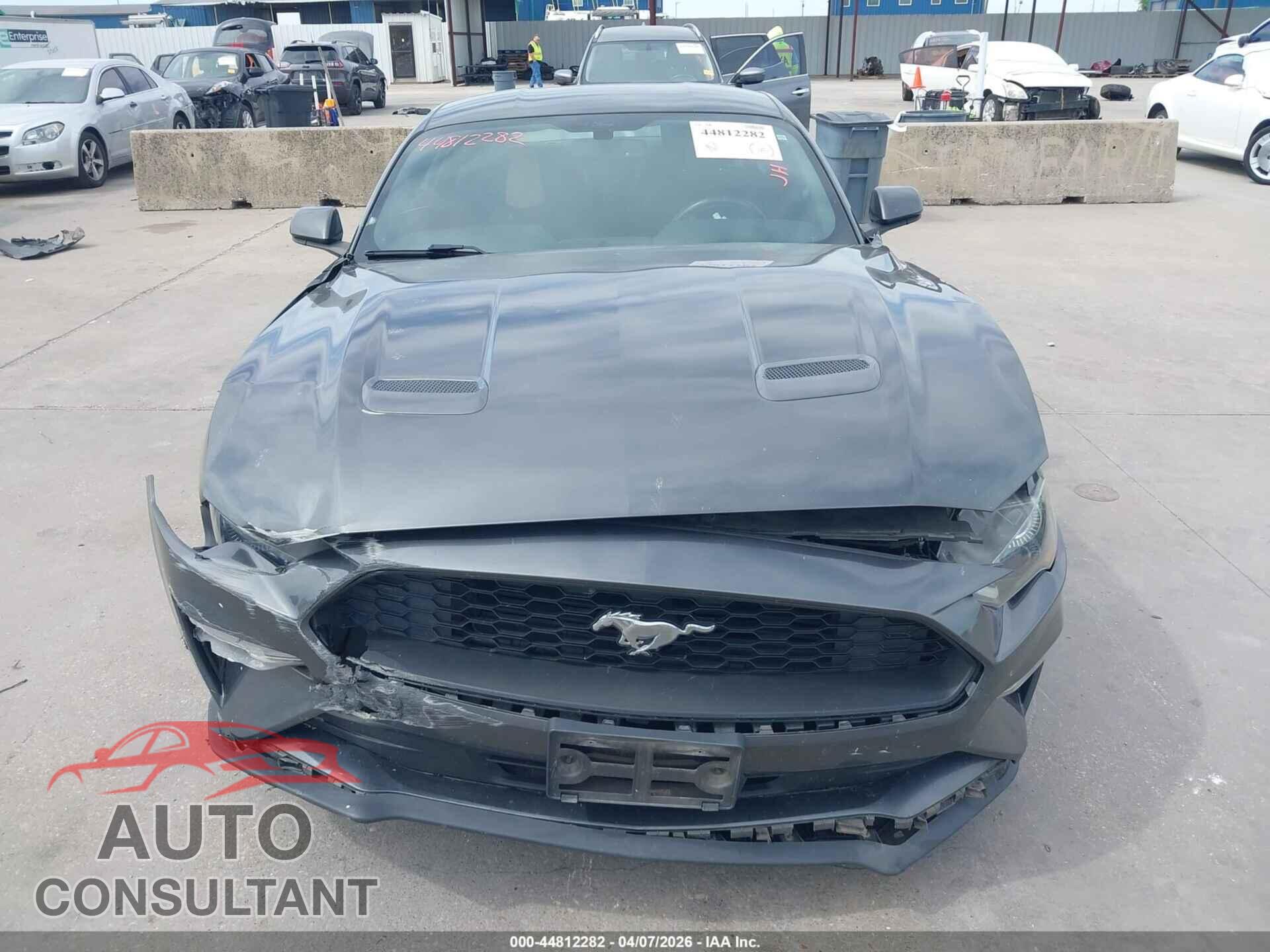 FORD MUSTANG 2019 - 1FA6P8TH3K5168202