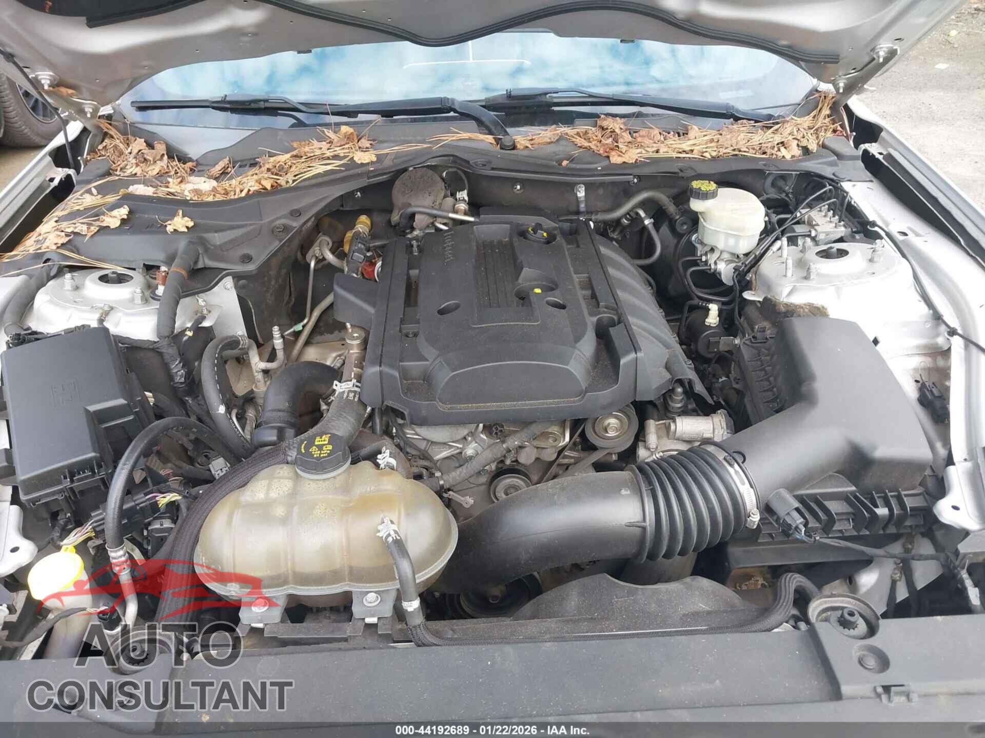 FORD MUSTANG 2017 - 1FA6P8TH2H5273273