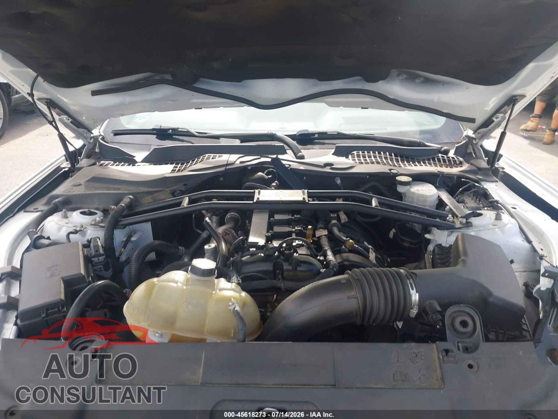 FORD MUSTANG 2021 - 1FA6P8TH3M5148003