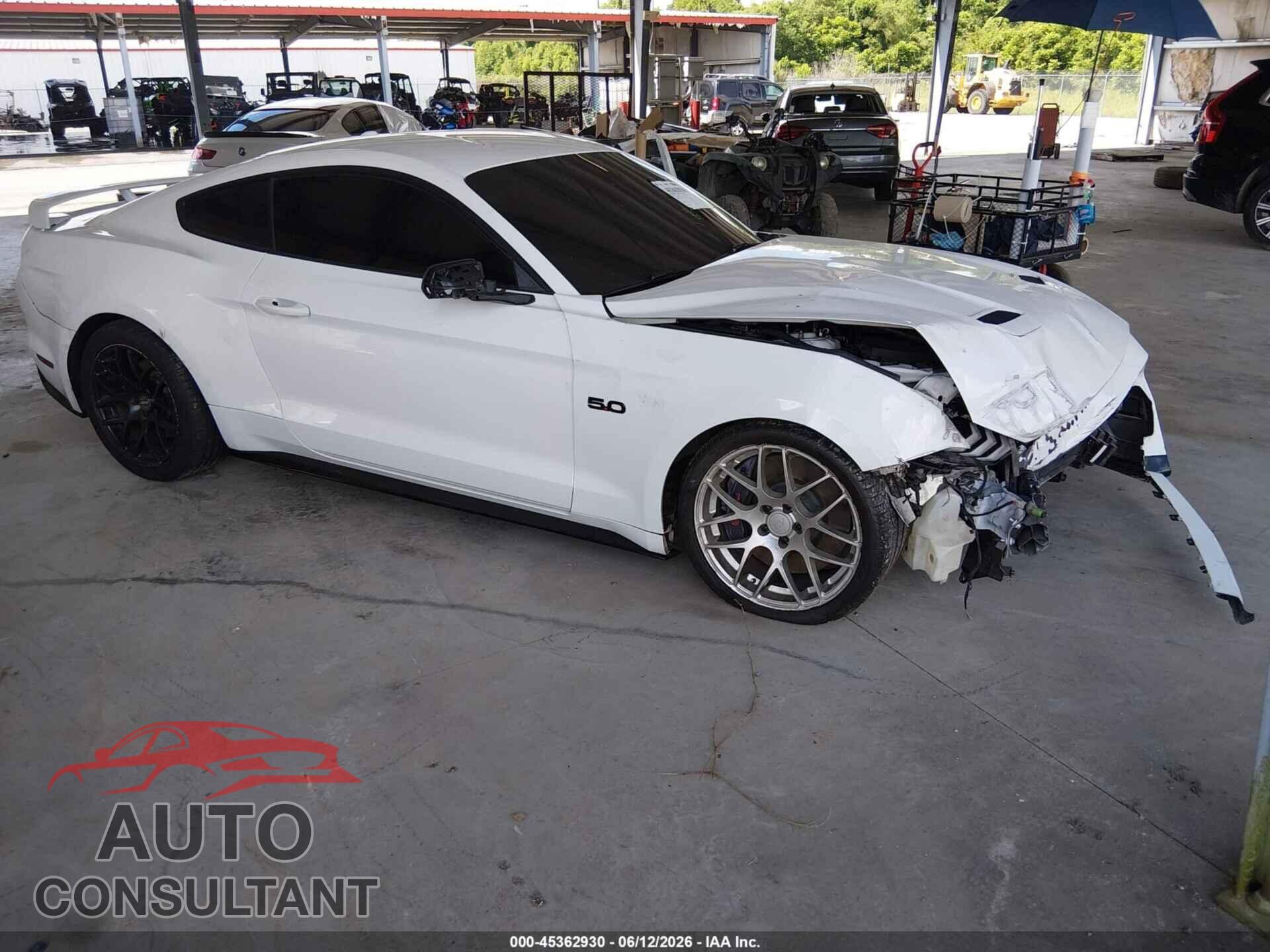 FORD MUSTANG 2019 - 1FA6P8CF8K5118068