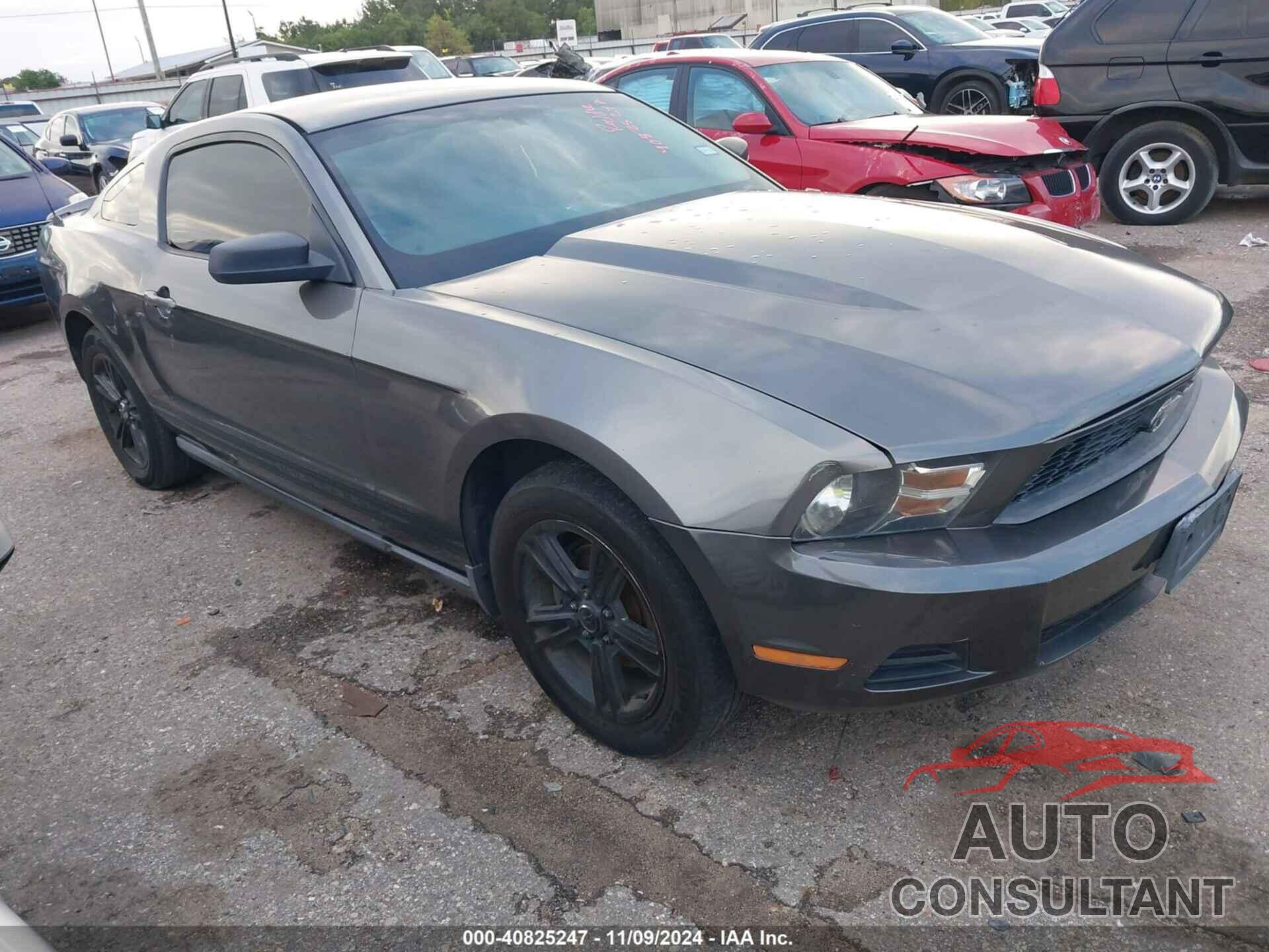 FORD MUSTANG 2010 - 1ZVBP8AN8A5108364