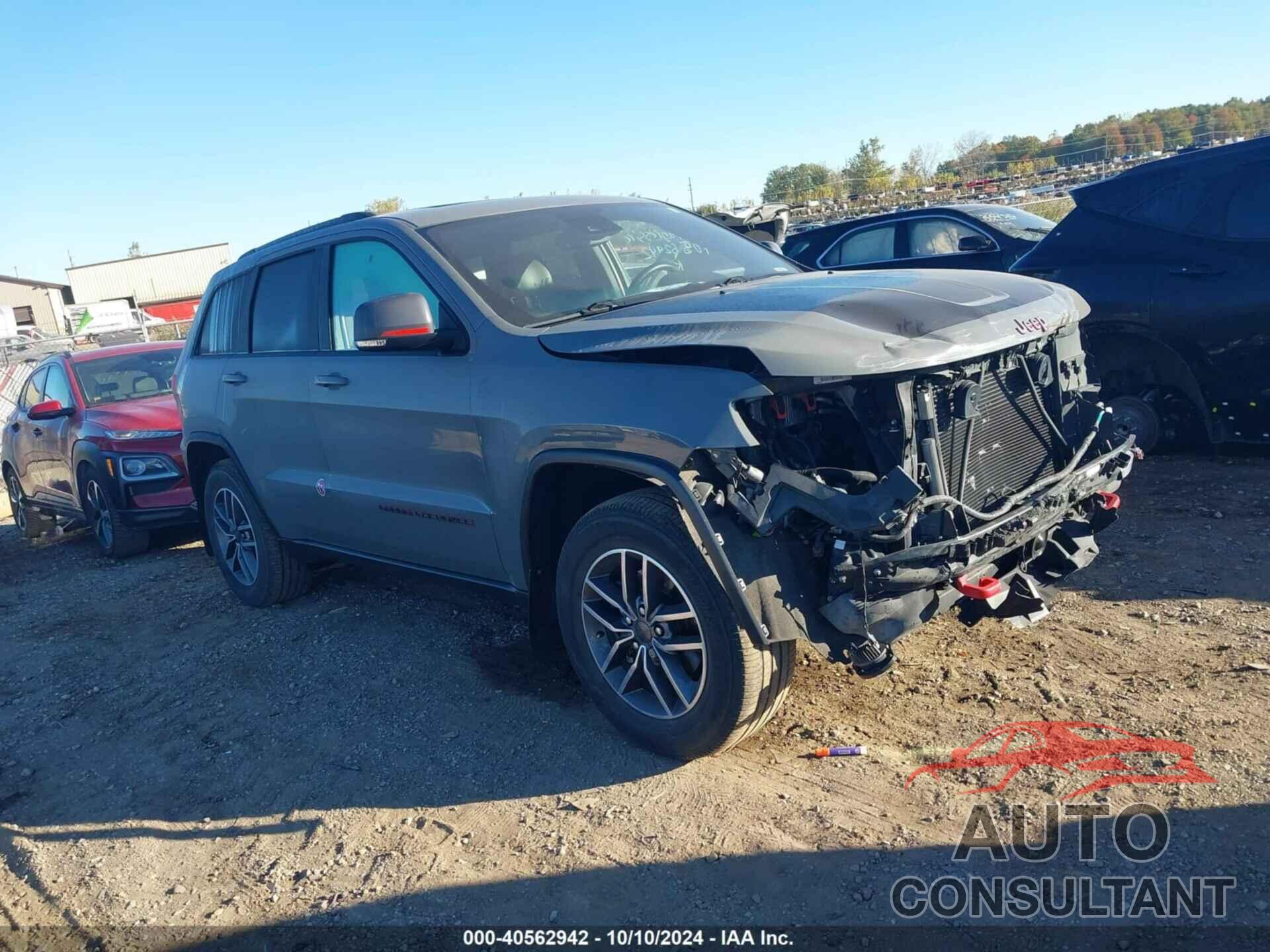JEEP GRAND CHEROKEE 2019 - 1C4RJFLG9KC838898