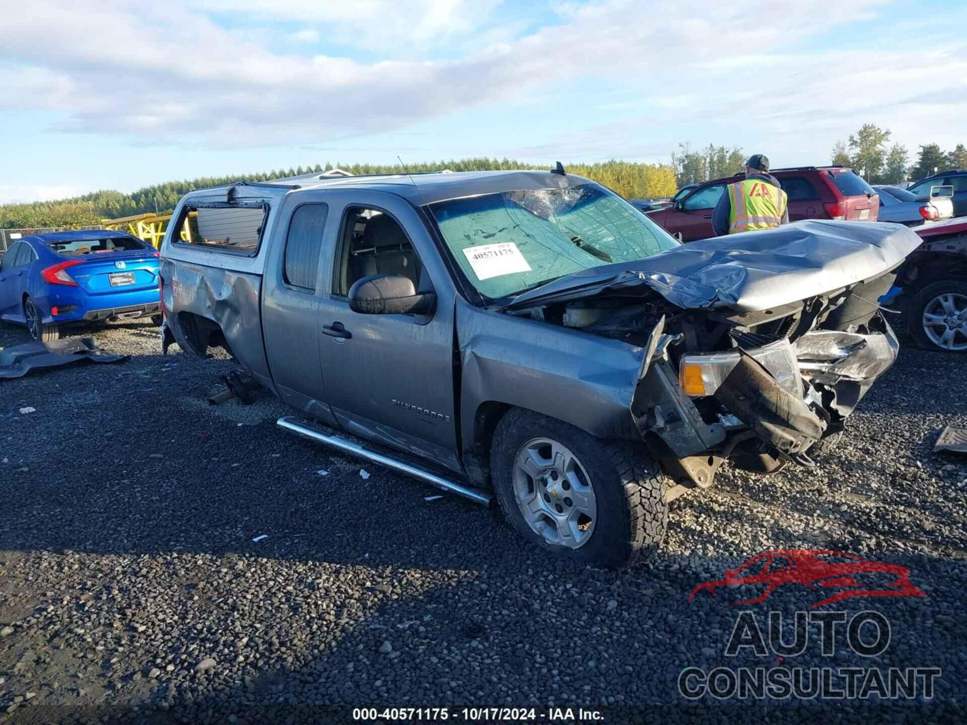 CHEVROLET SILVERADO 1500 2009 - 1GCEK19099Z228466