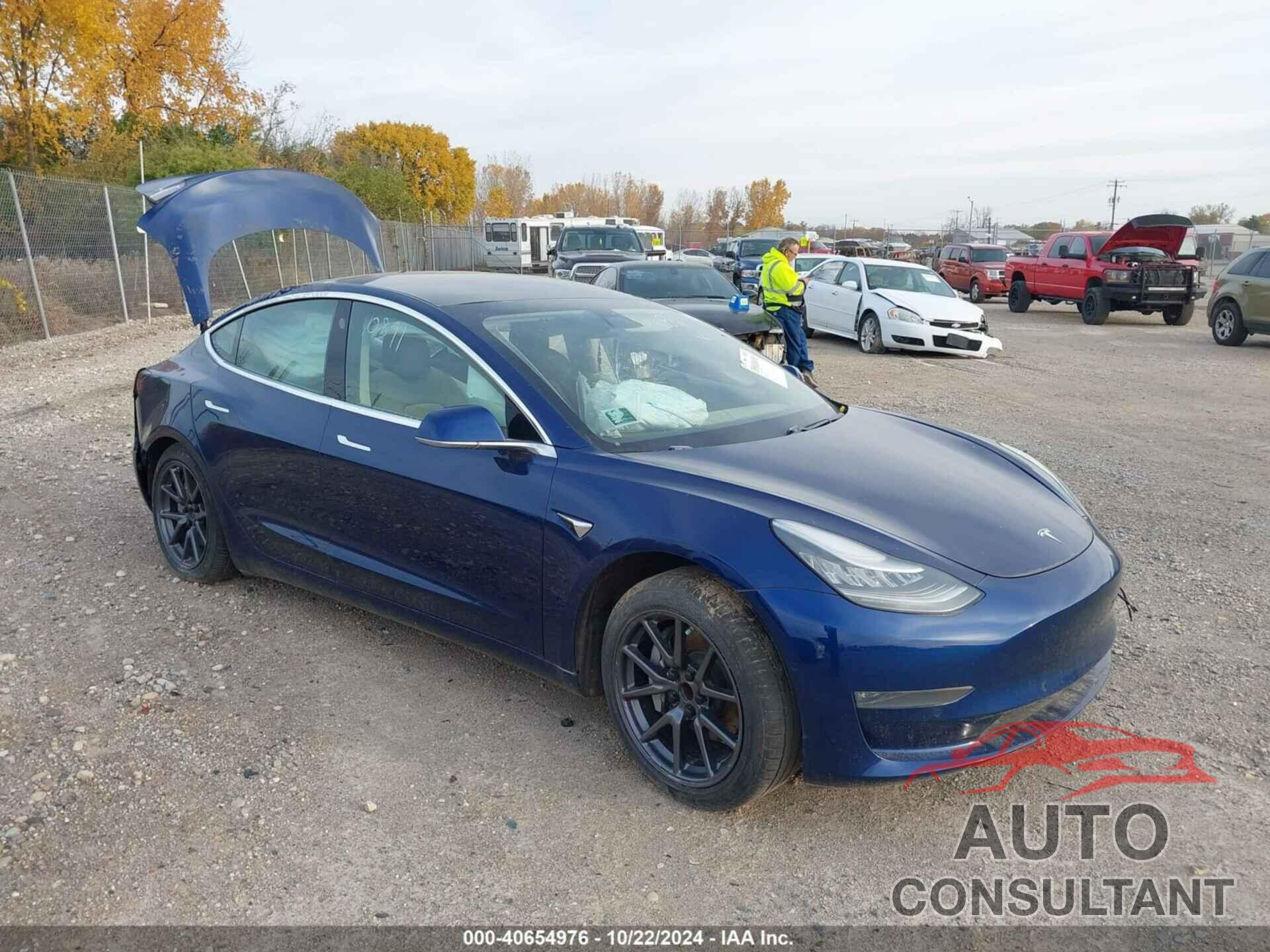 TESLA MODEL 3 2019 - 5YJ3E1EA5KF309313