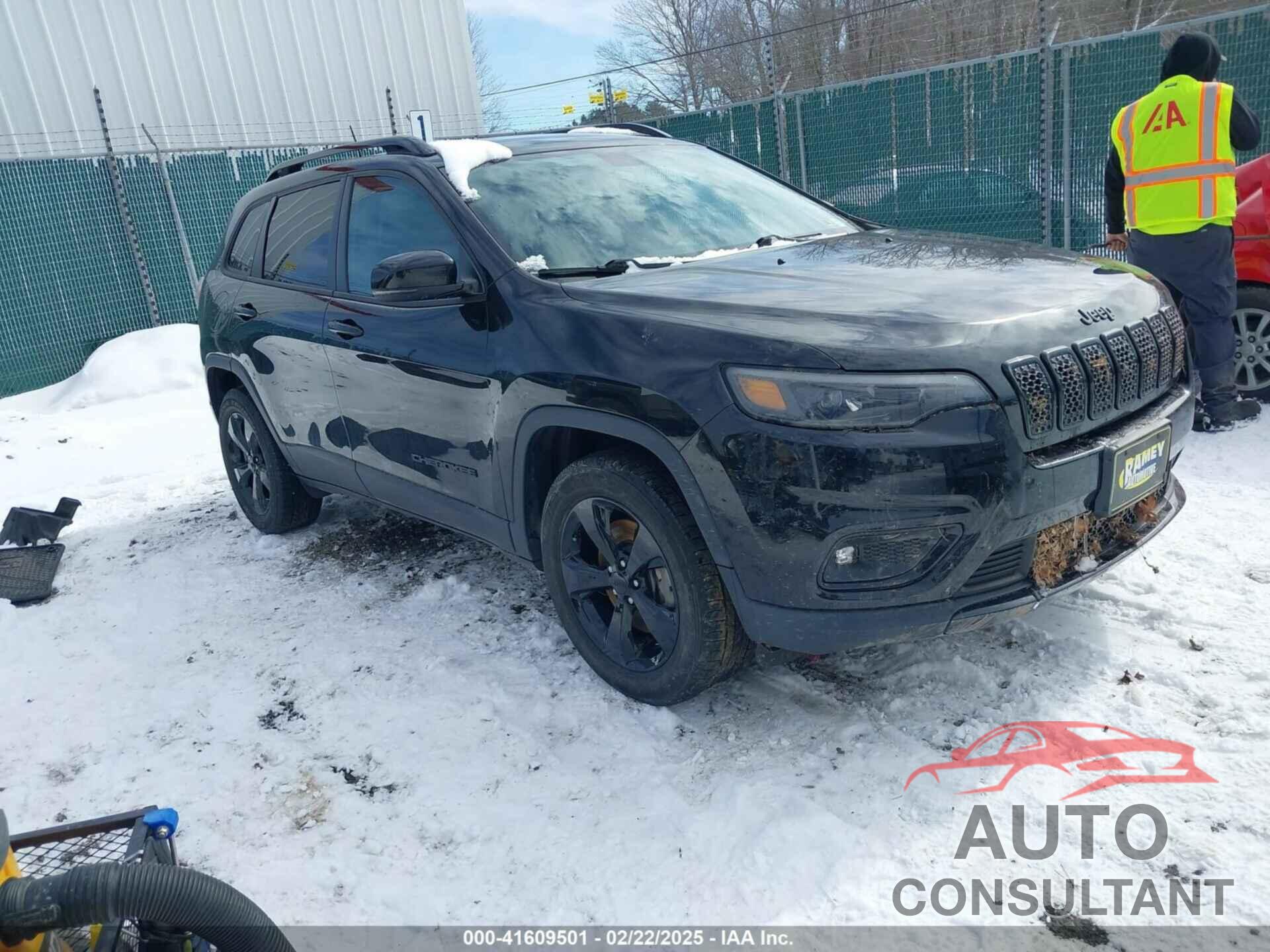 JEEP CHEROKEE 2019 - 1C4PJMLB3KD291251