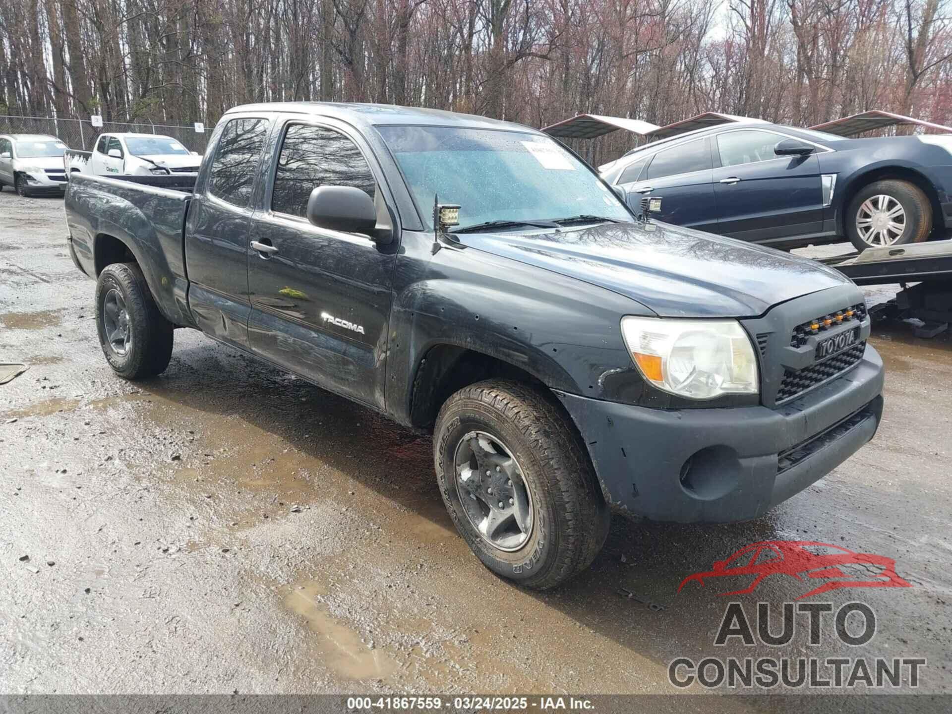TOYOTA TACOMA 2009 - 5TEUX42N29Z640415