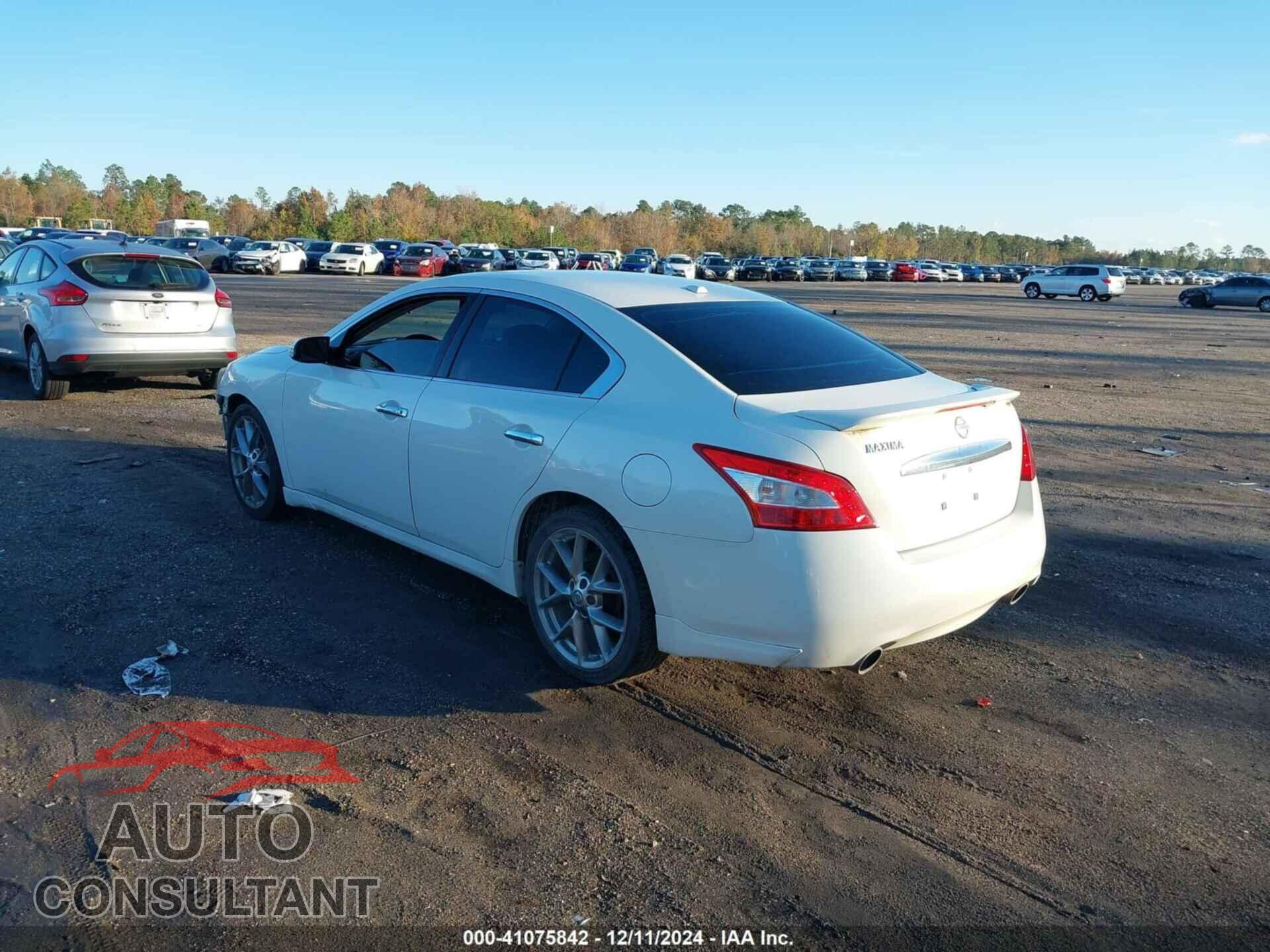 NISSAN MAXIMA 2011 - 1N4AA5AP7BC839905