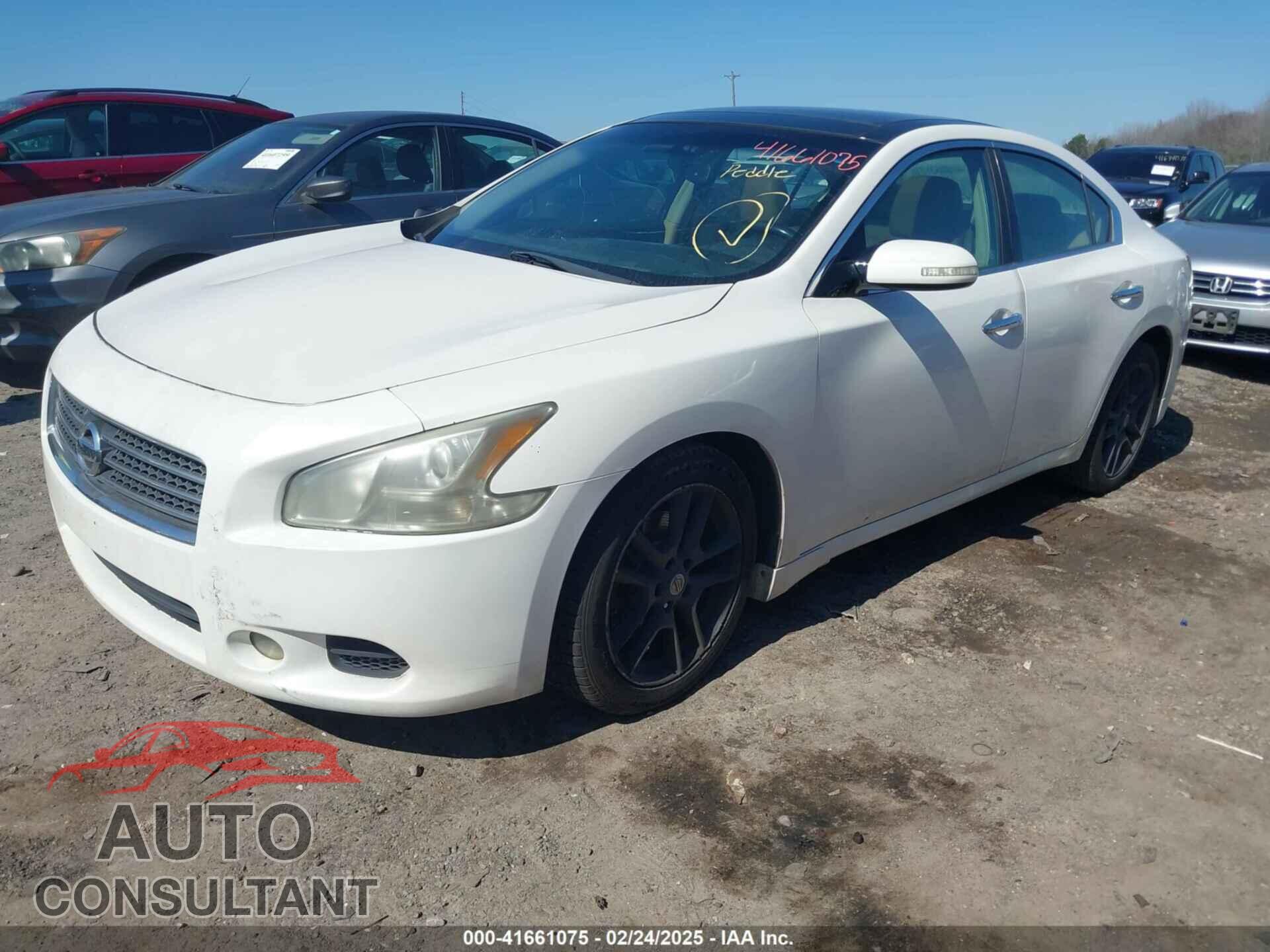 NISSAN MAXIMA 2011 - 1N4AA5AP7BC856462