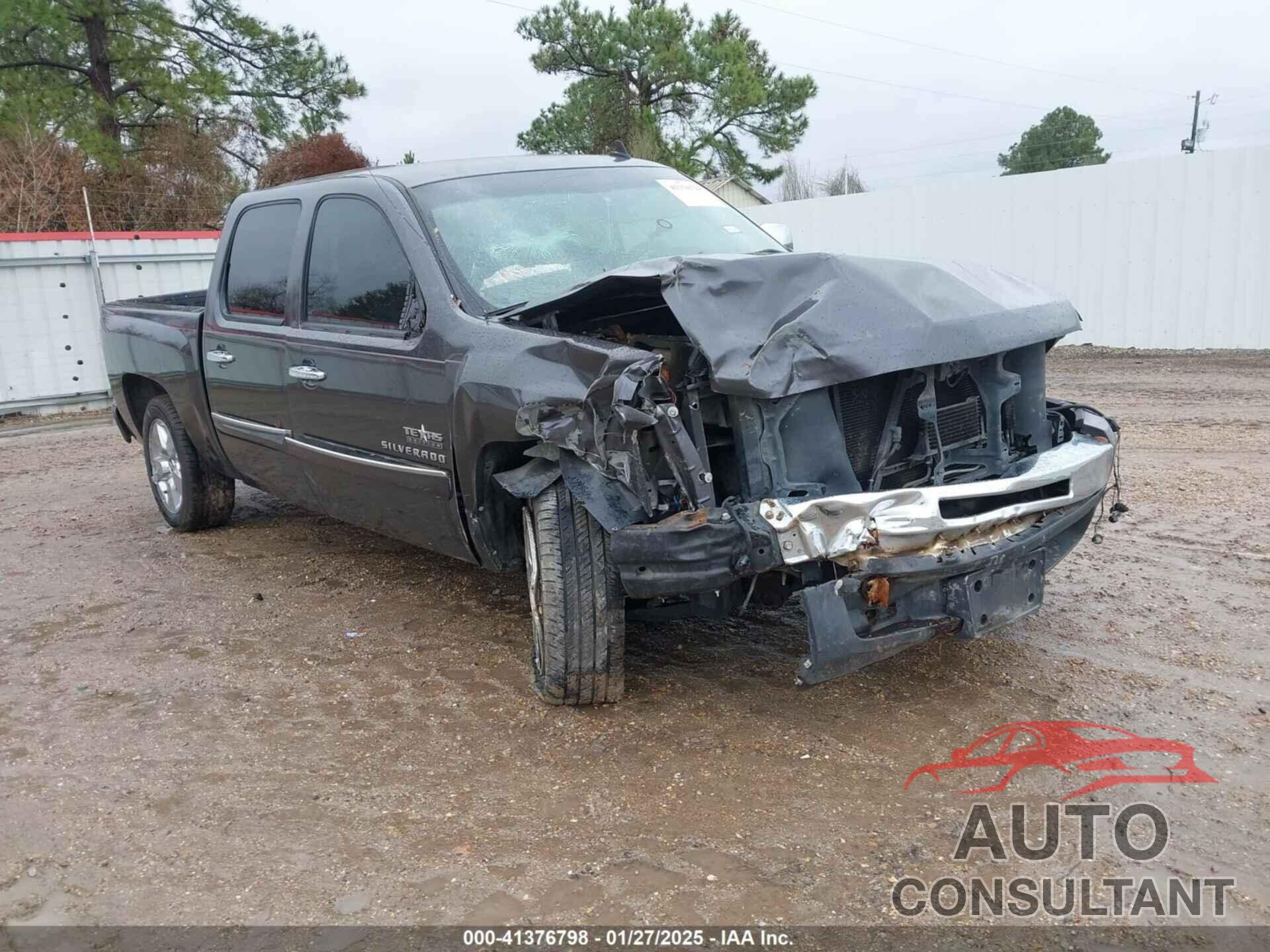 CHEVROLET SILVERADO 1500 2010 - 3GCRCSE02AG234916