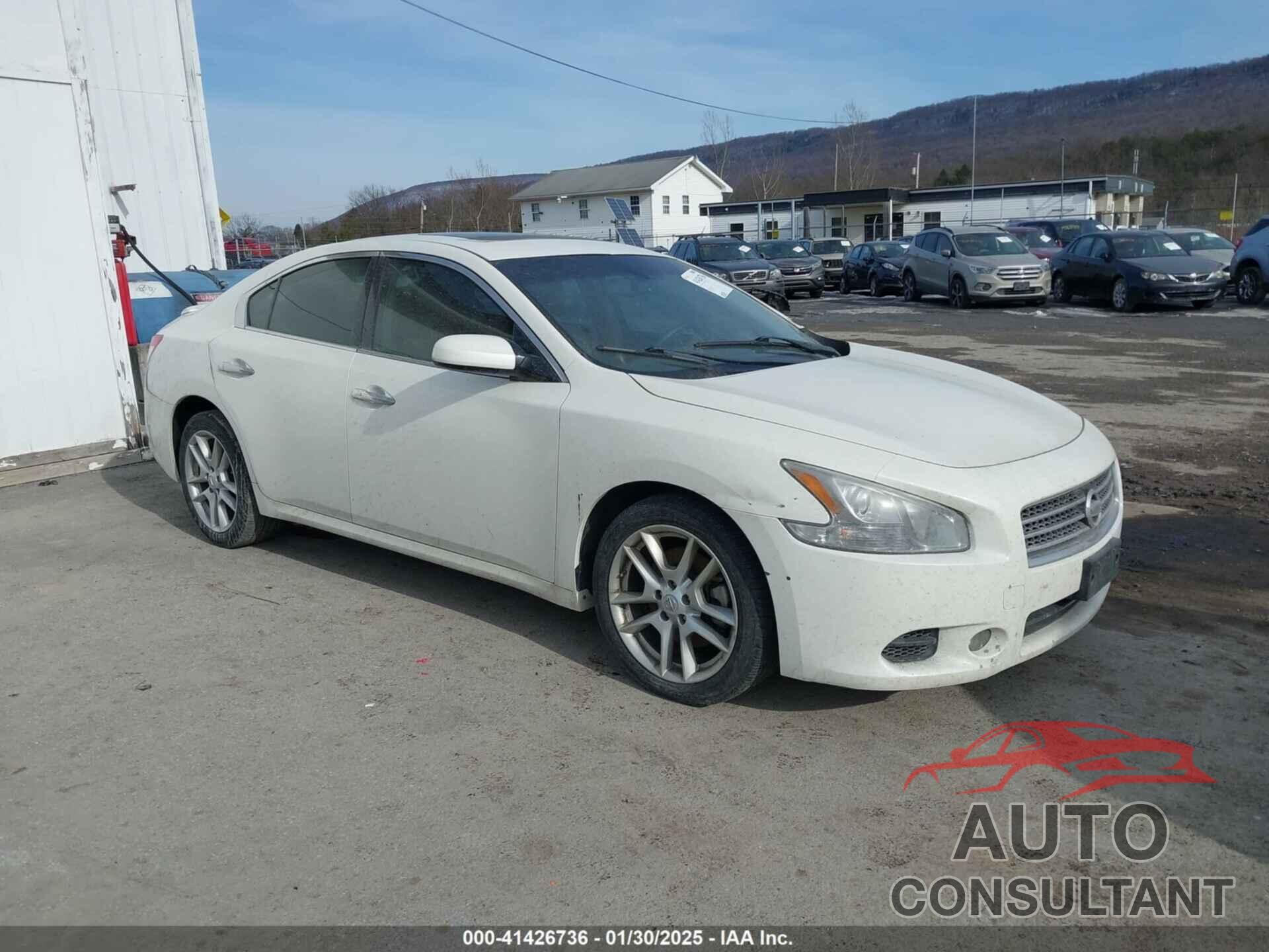 NISSAN MAXIMA 2010 - 1N4AA5AP1AC859100