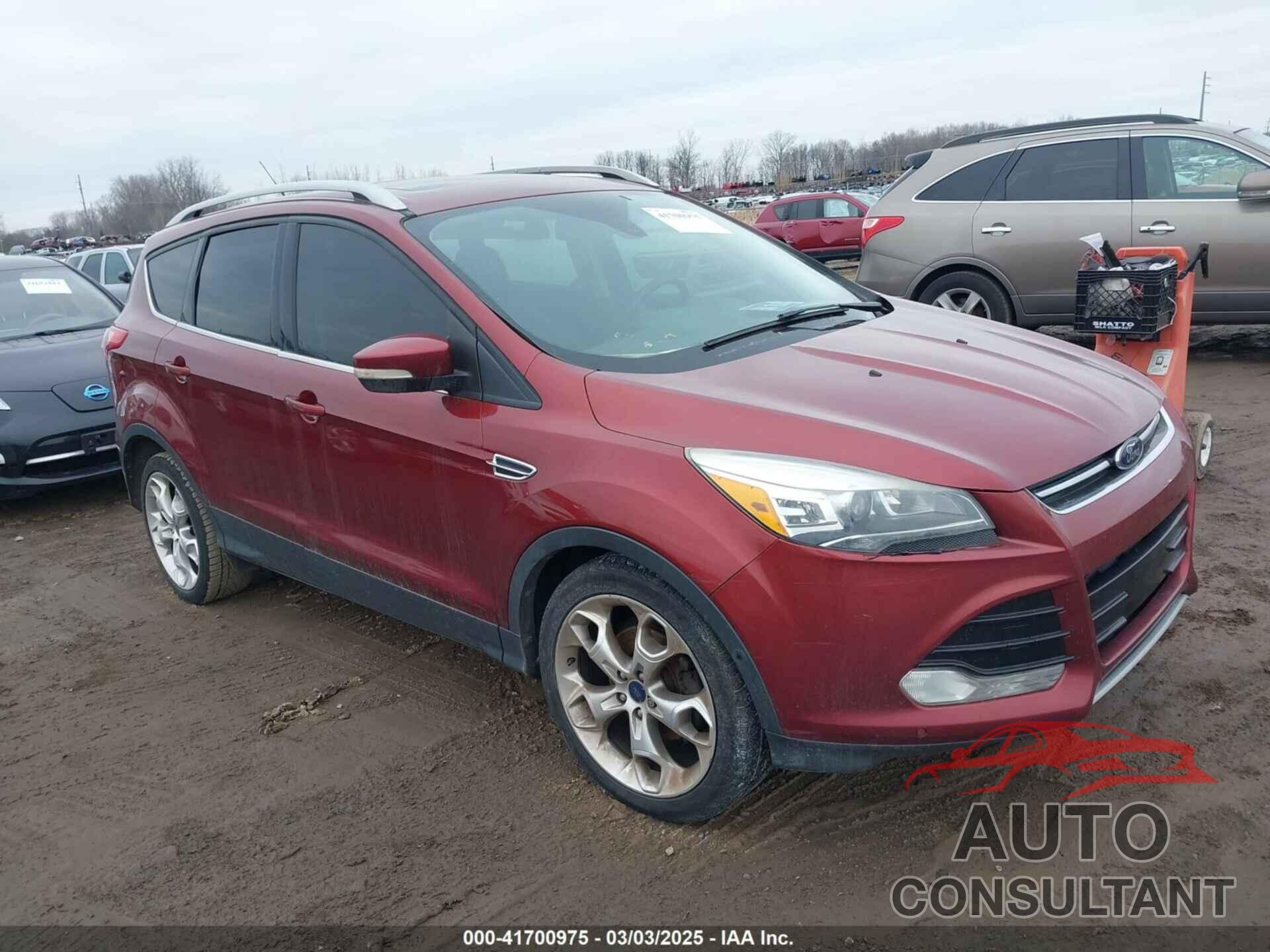 FORD ESCAPE 2014 - 1FMCU0JXXEUB96456