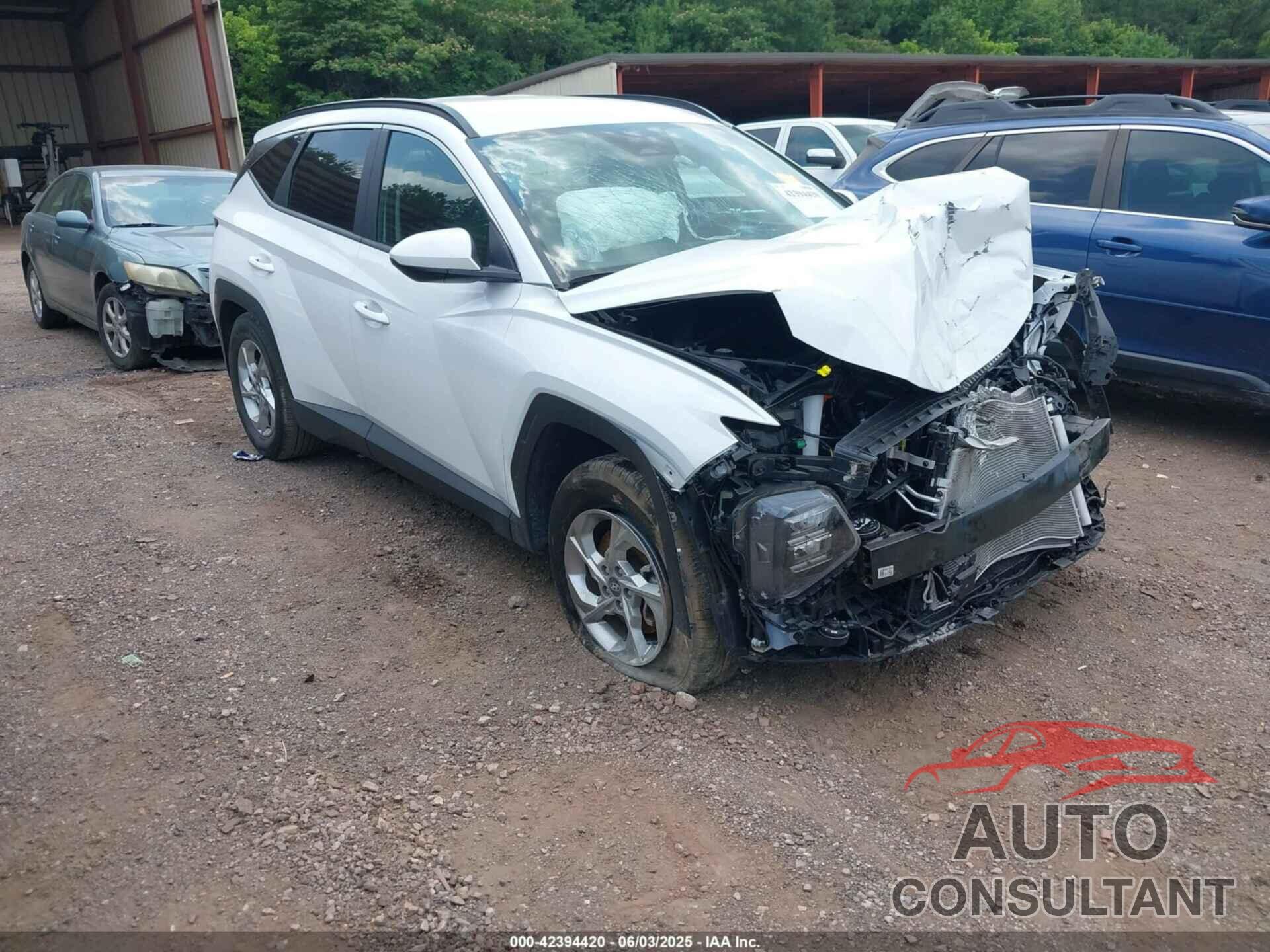HYUNDAI TUCSON 2024 - 5NMJB3DE1RH422832