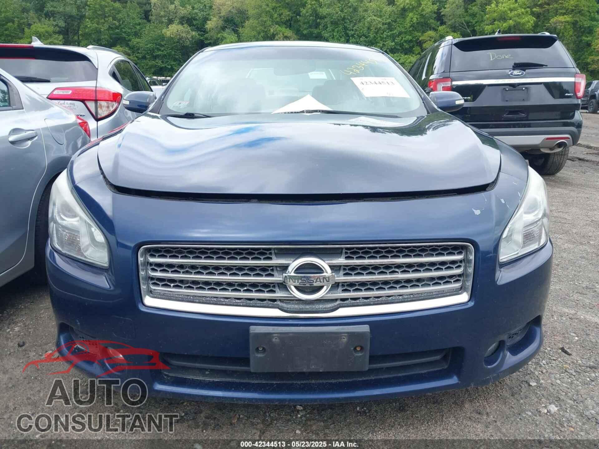 NISSAN MAXIMA 2009 - 1N4AA51E49C813044