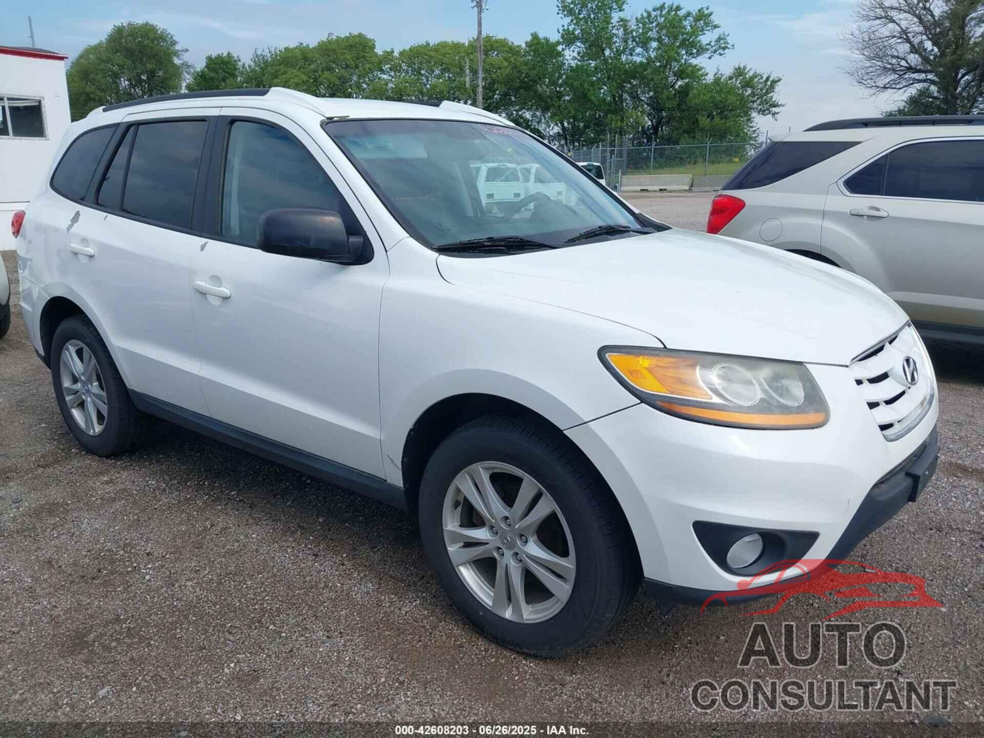HYUNDAI SANTA FE 2010 - 5NMSHDAGXAH333246