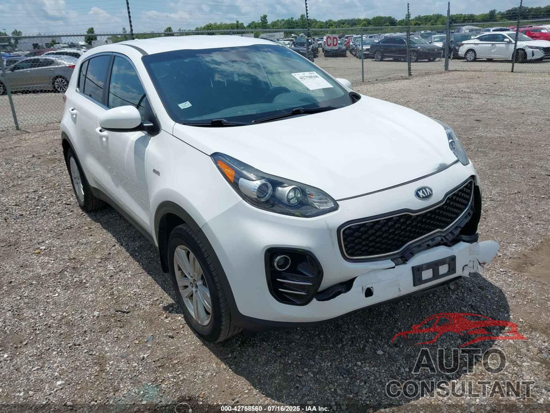 KIA SPORTAGE 2019 - KNDPMCAC3K7621305