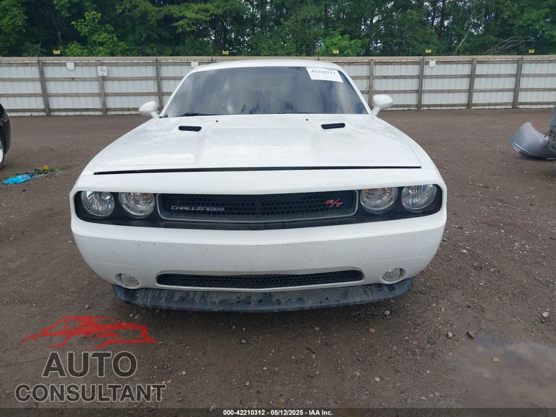 DODGE CHALLENGER 2012 - 2C3CDYBT2CH155385