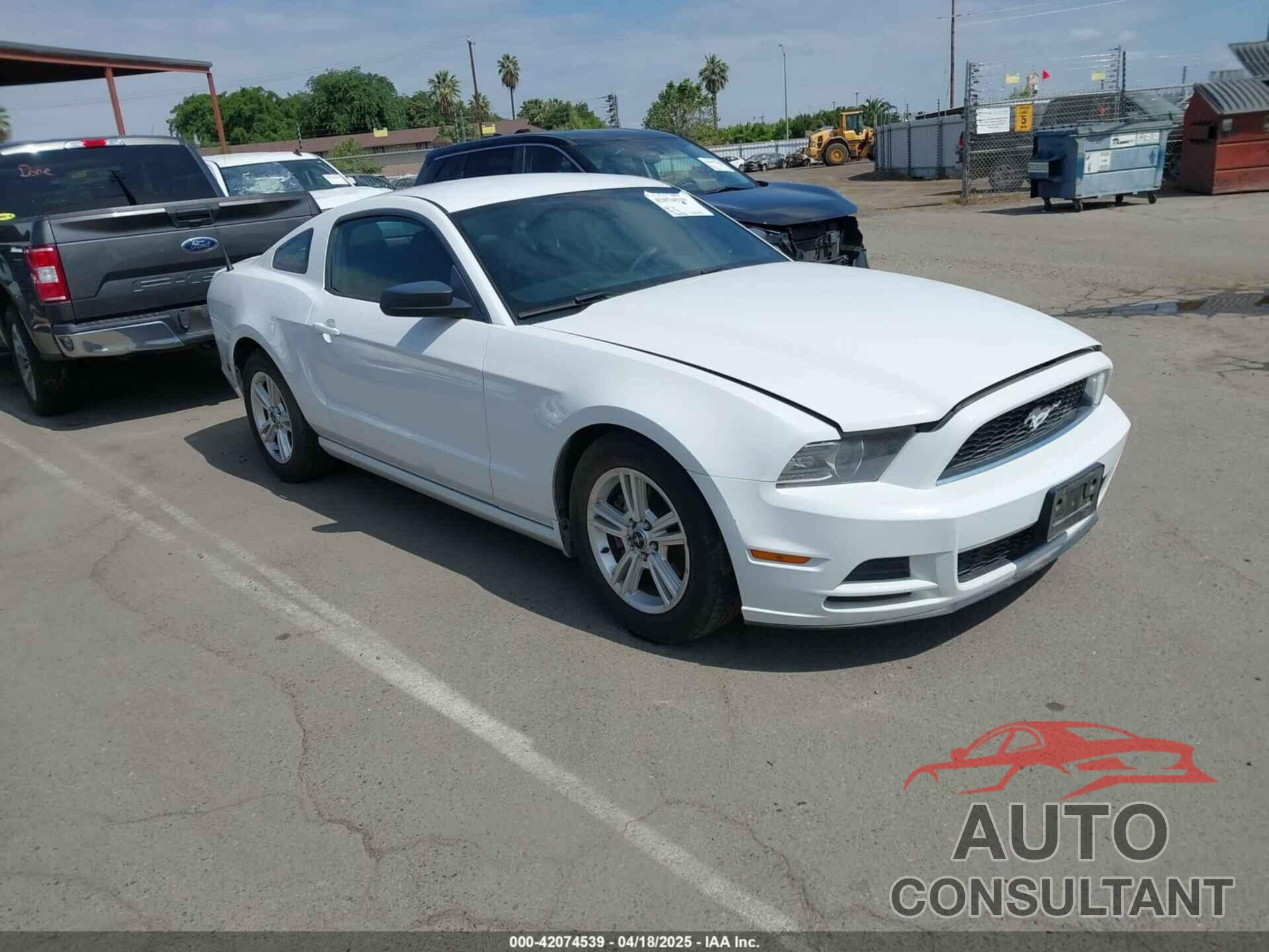 FORD MUSTANG 2014 - 1ZVBP8AMXE5245688
