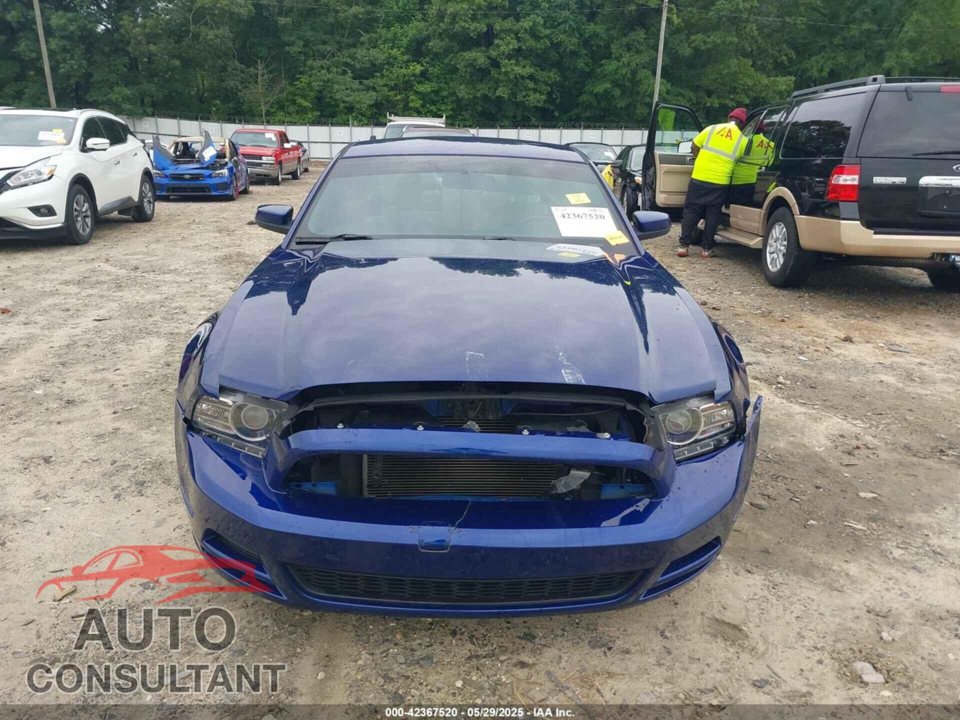 FORD MUSTANG 2014 - 1ZVBP8AM4E5282543